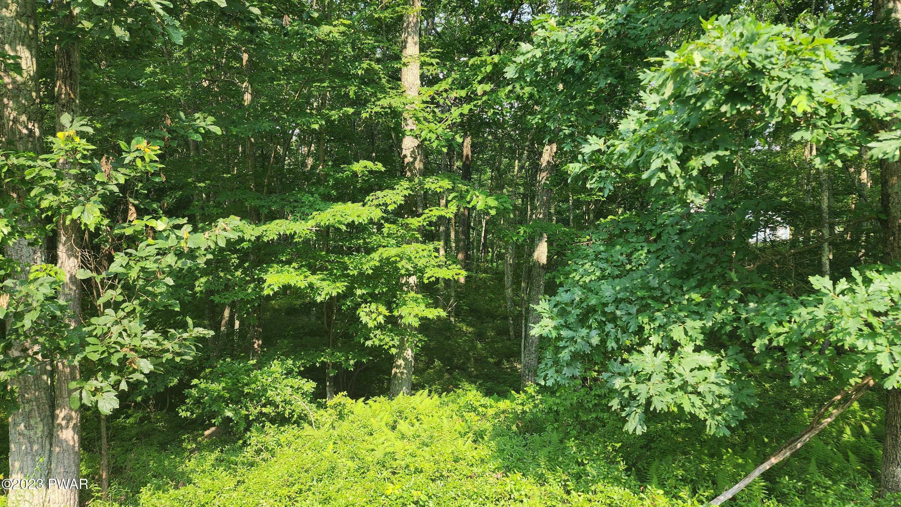 Lot 27 Blue Heron Way, Hawley, Pennsylvania image 10