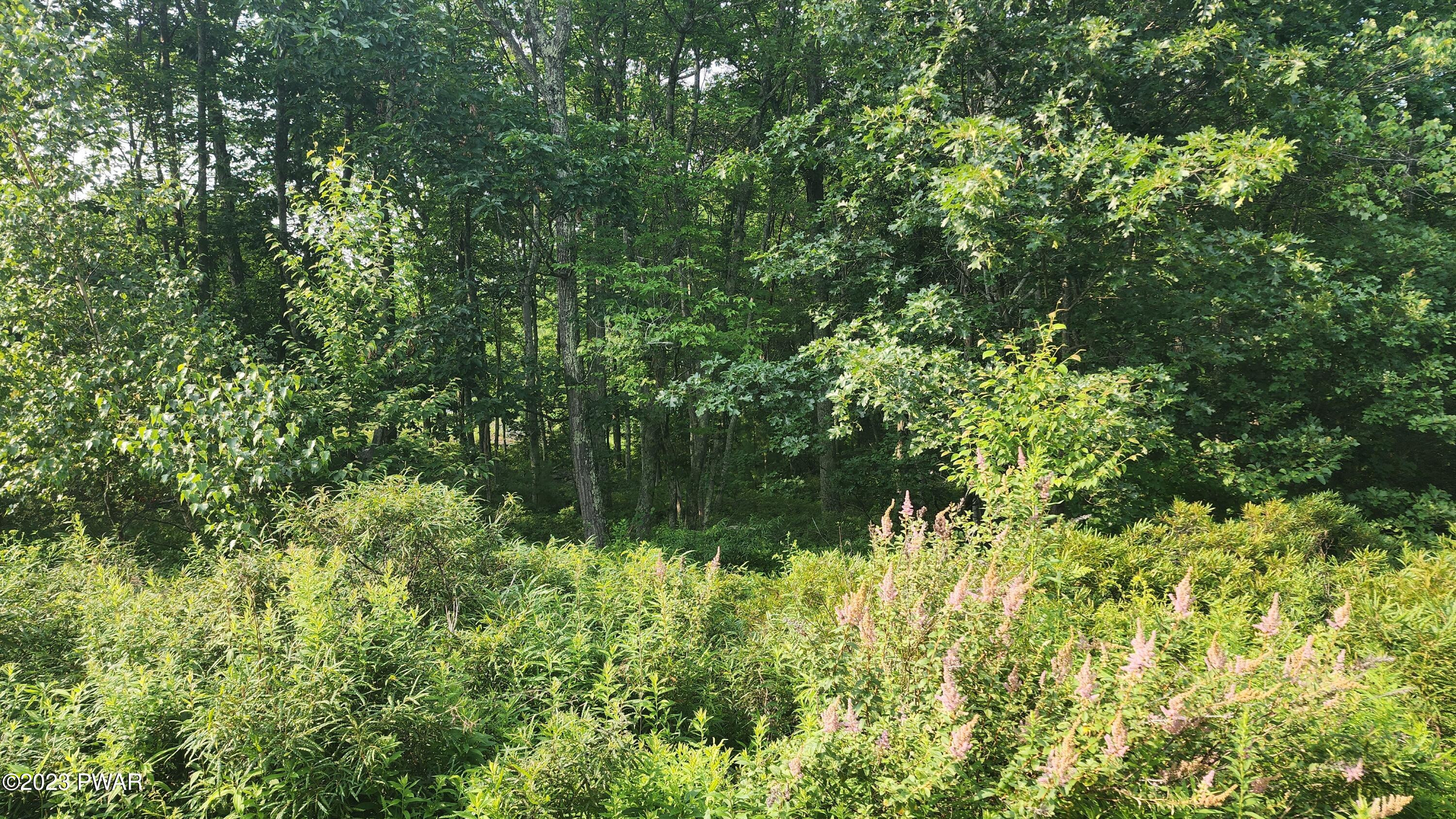 Lot 27 Blue Heron Way, Hawley, Pennsylvania image 9