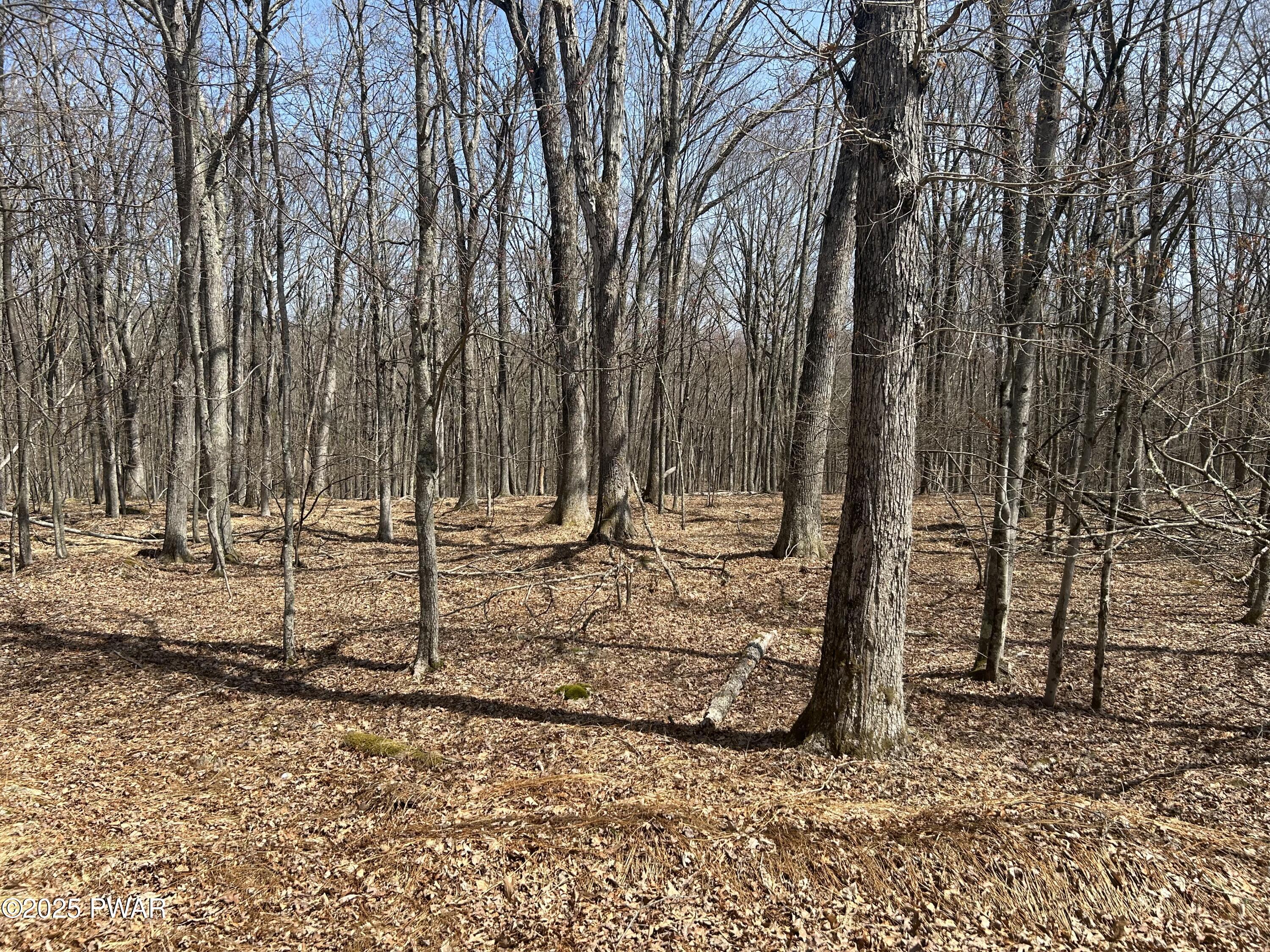 139 Rim Rock Lane, Hawley, Pennsylvania image 4