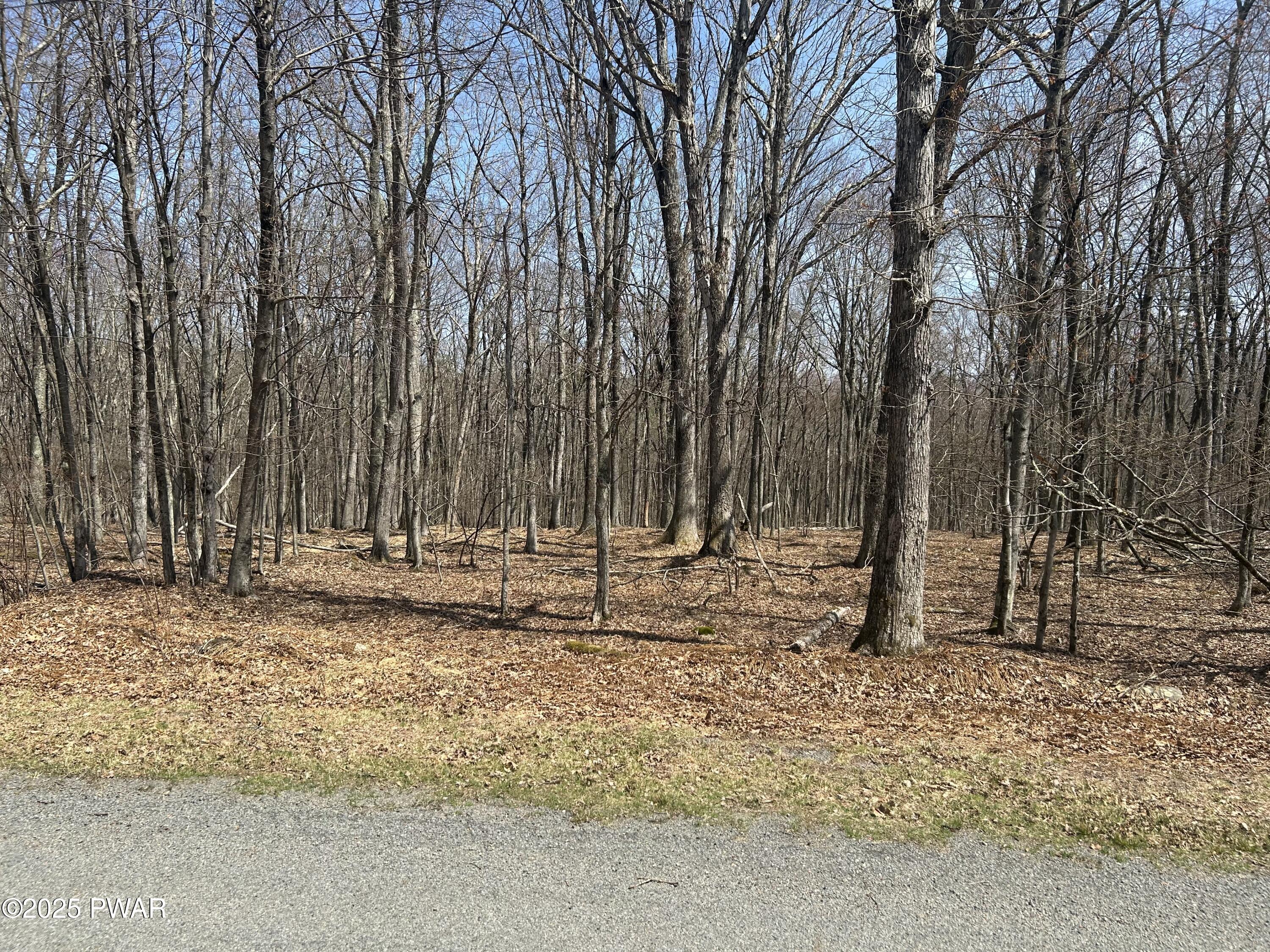 139 Rim Rock Lane, Hawley, Pennsylvania image 1