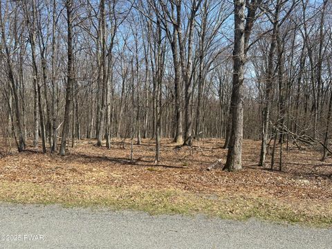 Vacant Land For Sale - 139 Rim Rock Lane<br/> Hawley, PA 18428