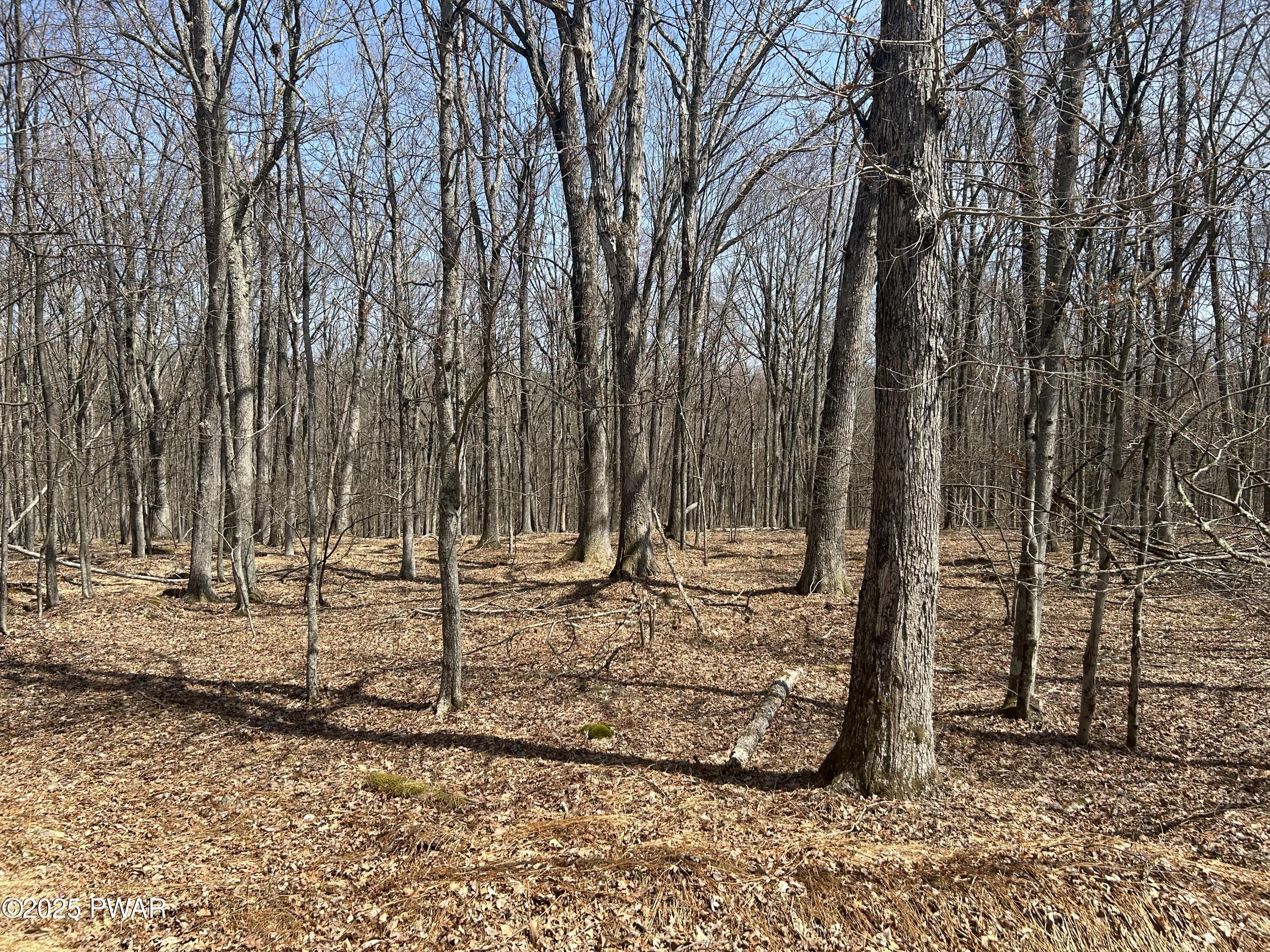 139 Rim Rock Lane, Hawley, Pennsylvania image 3