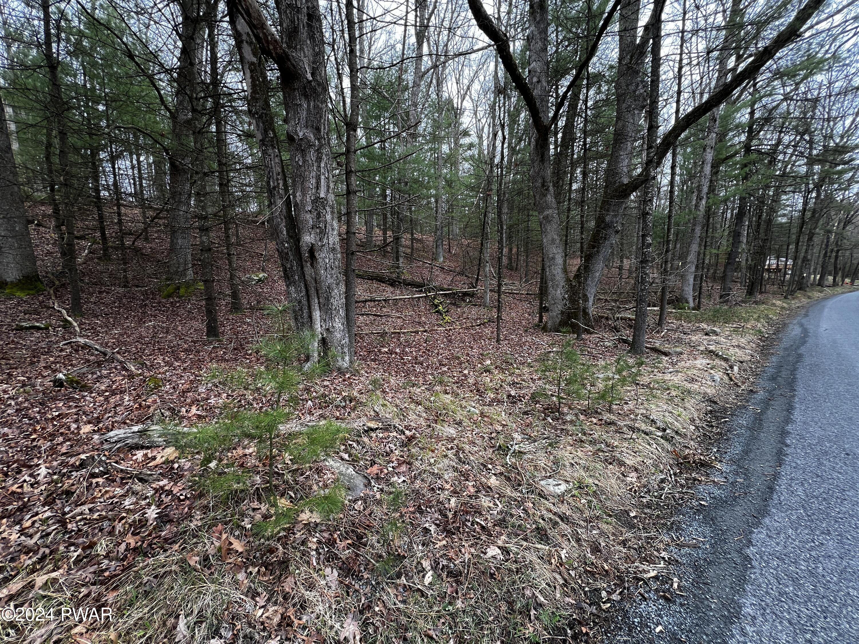 Parkers Glen Road, Shohola, Pennsylvania image 5