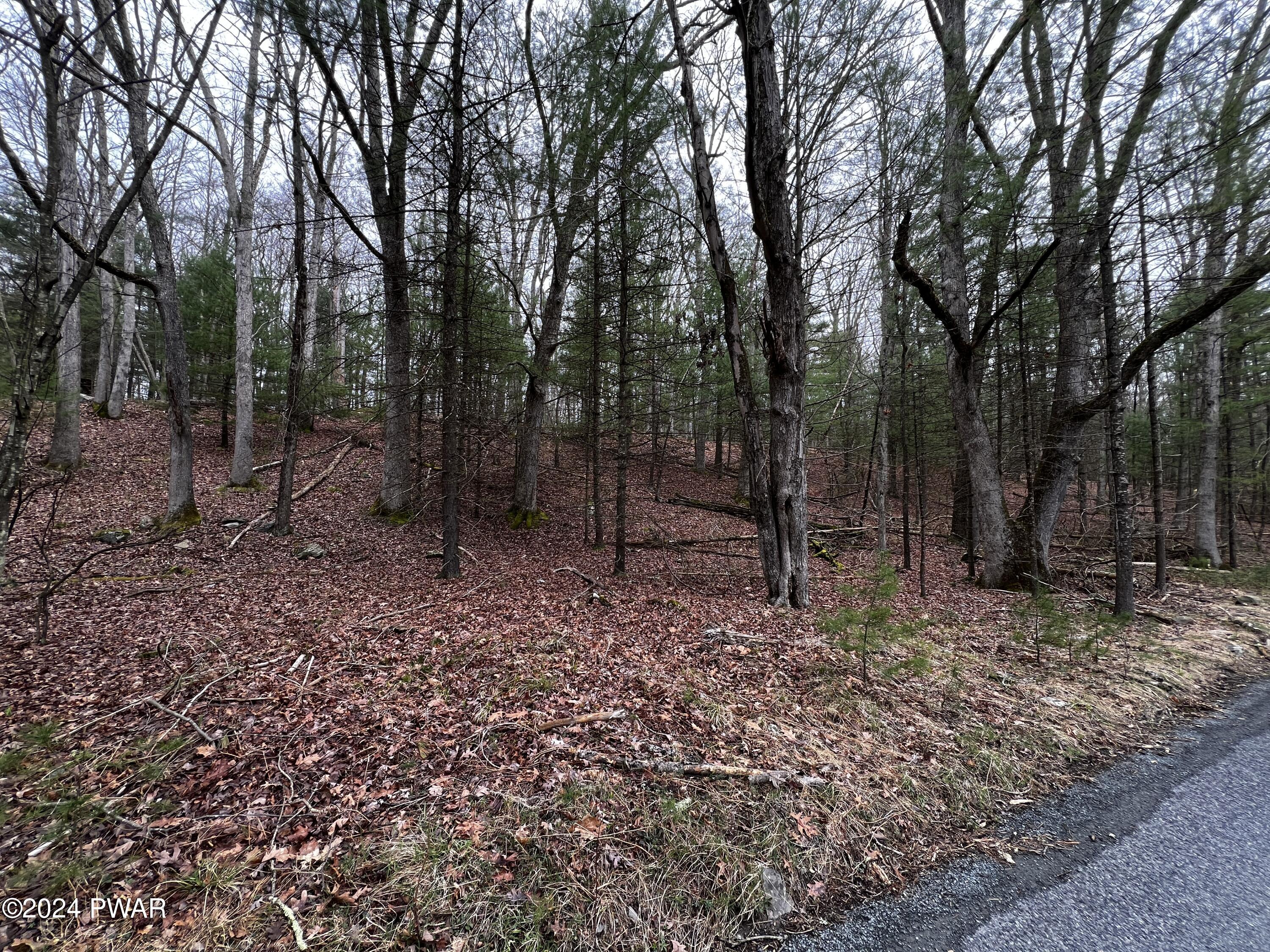 Parkers Glen Road, Shohola, Pennsylvania image 6