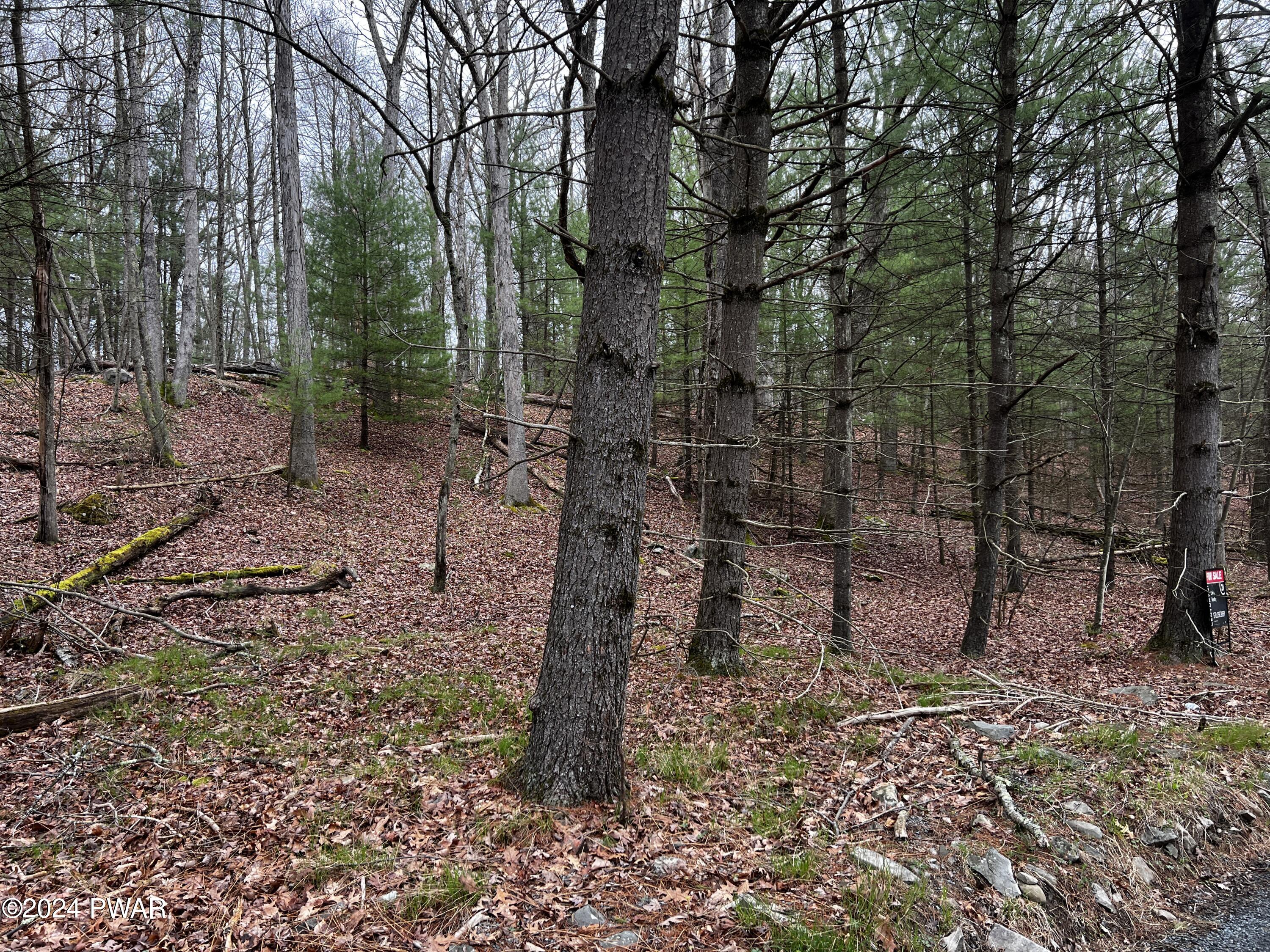 Parkers Glen Road, Shohola, Pennsylvania image 4