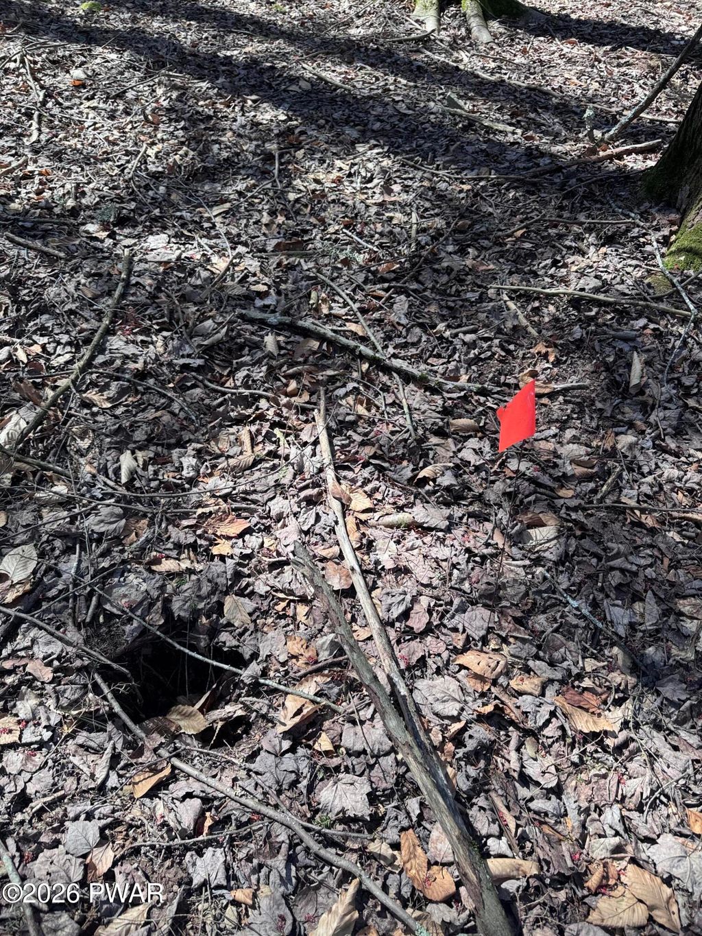 Photo of Steep Hill Road, Beach Lake, PA 18405 (MLS # PW260875)