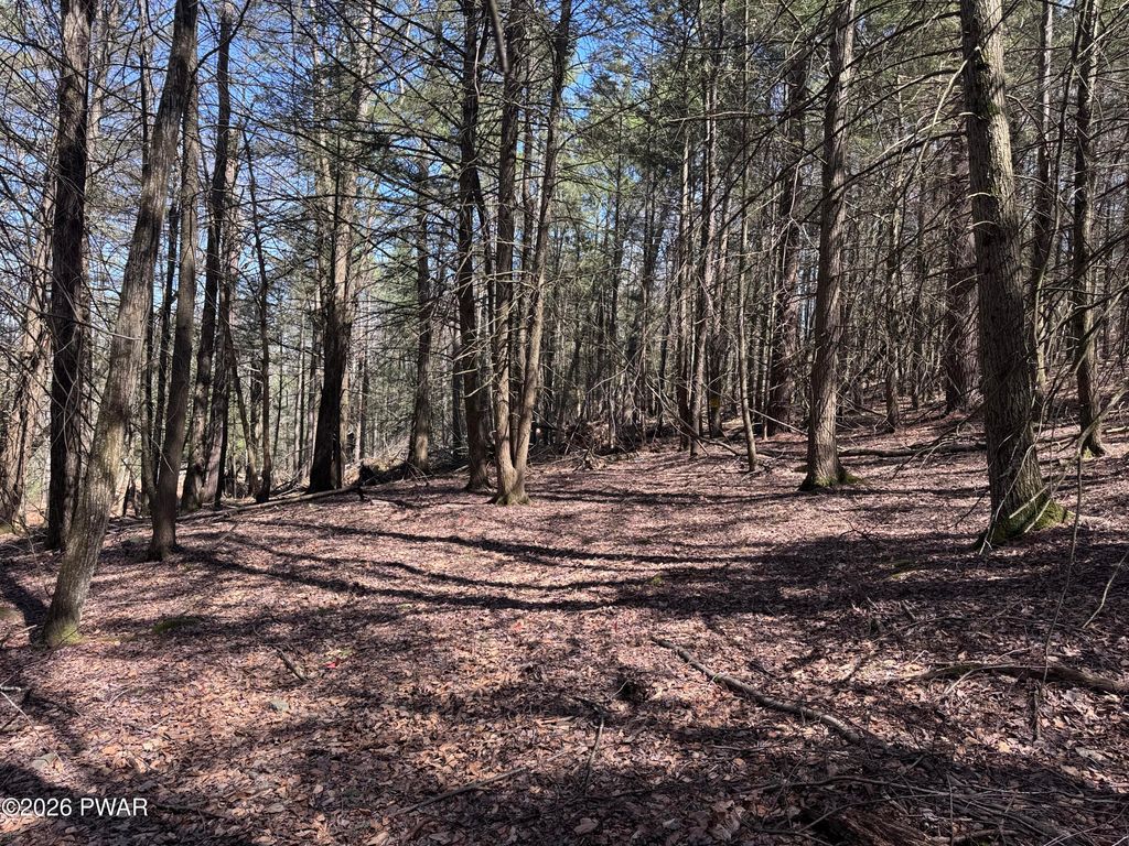 Photo of Steep Hill Road, Beach Lake, PA 18405 (MLS # PW260875)