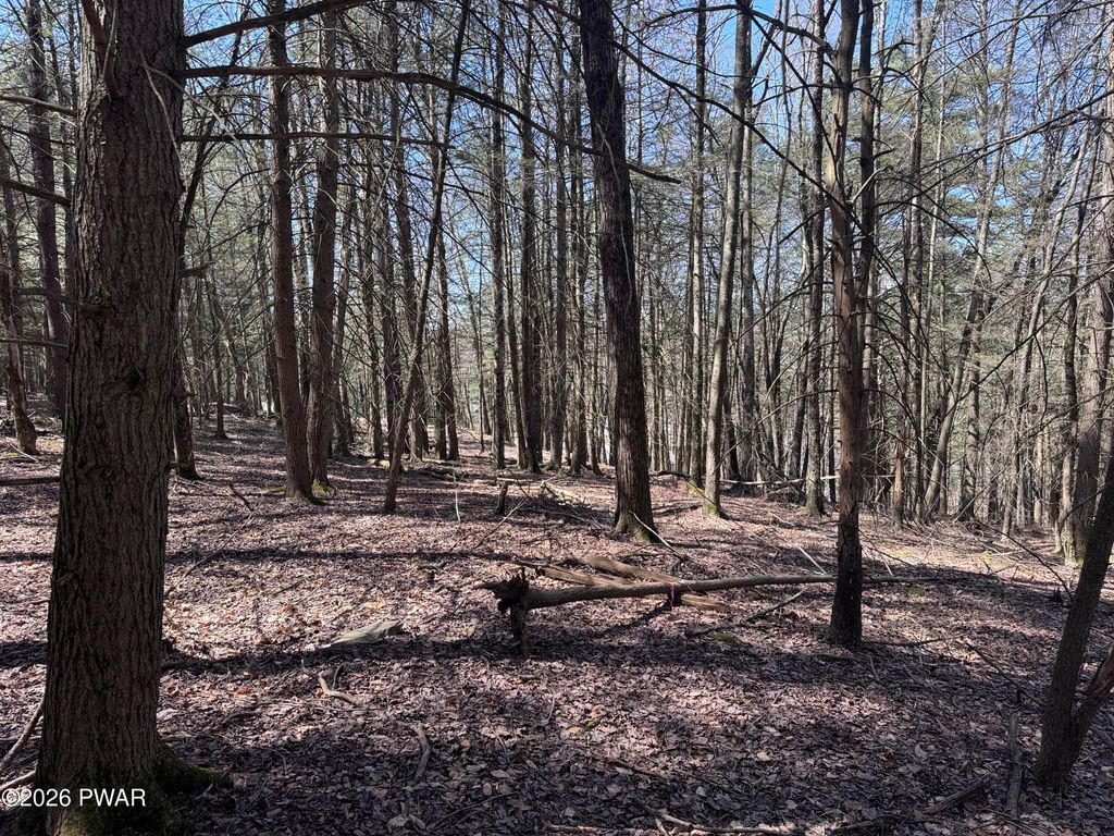 Photo of Steep Hill Road, Beach Lake, PA 18405 (MLS # PW260875)