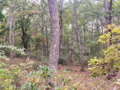 Vacant Land For Sale - Philwood Lane<br/> Milford, PA 18337