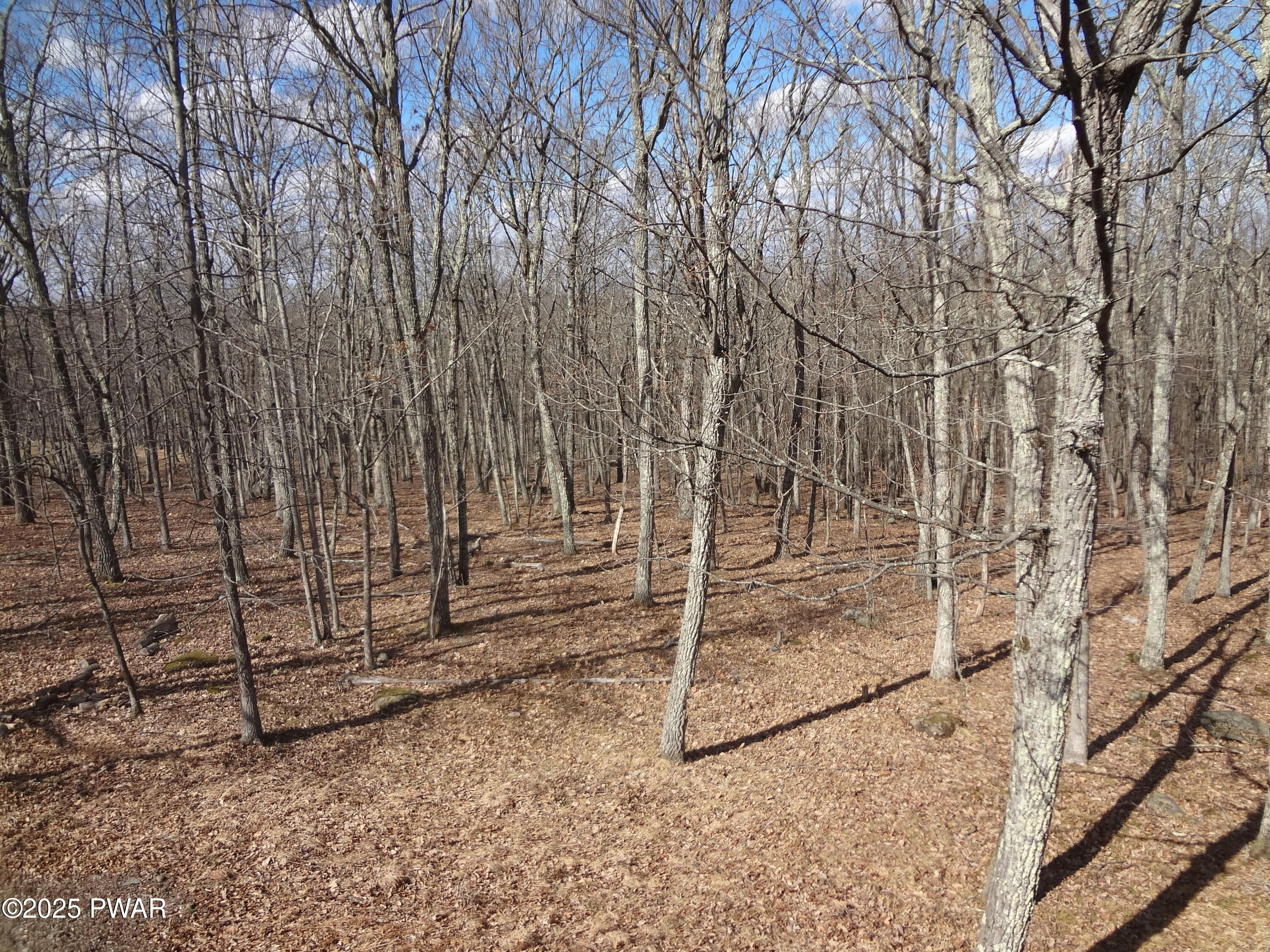 1100 Dewberry Drive, Hawley, Pennsylvania image 27