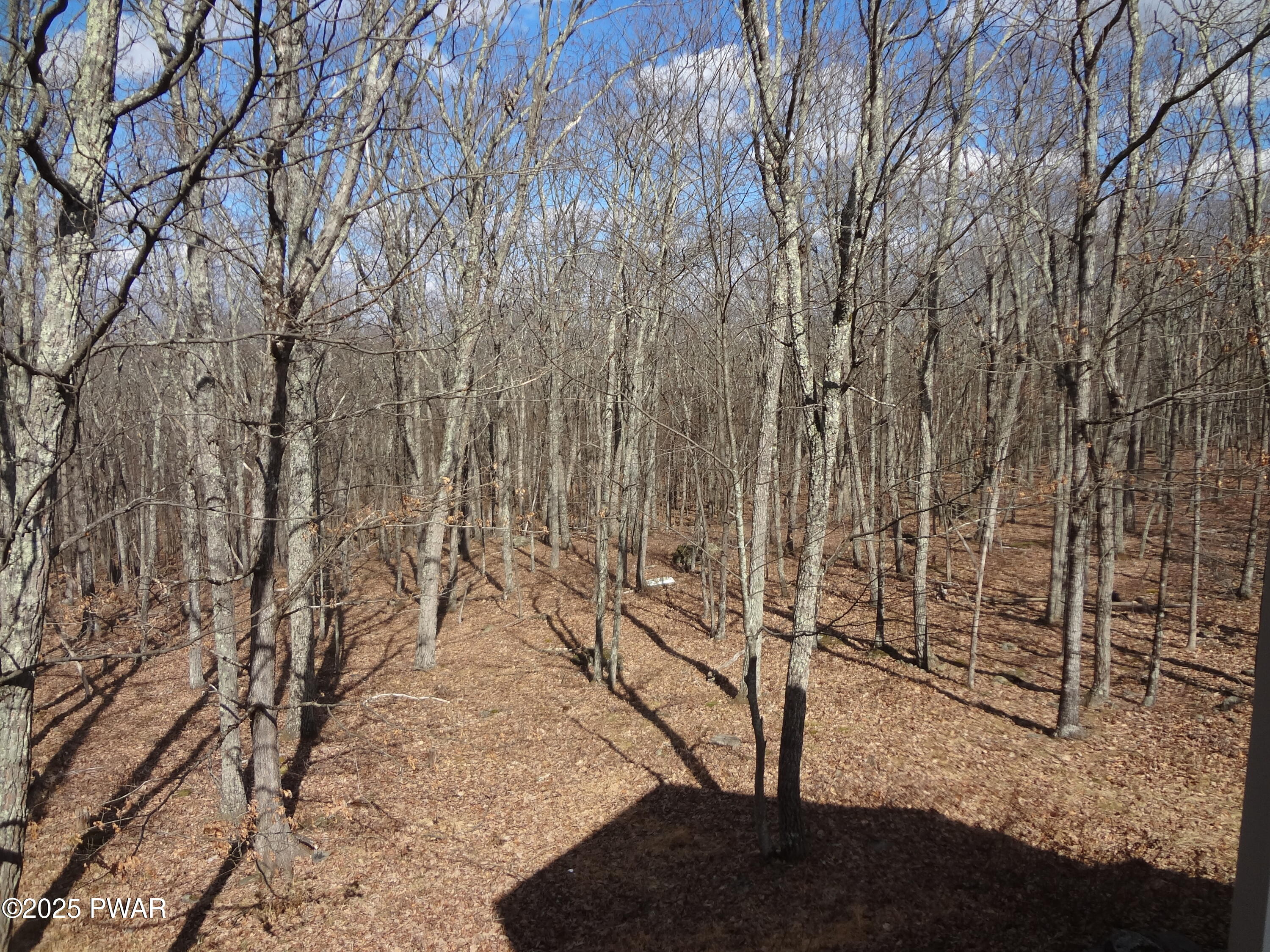 1100 Dewberry Drive, Hawley, Pennsylvania image 28