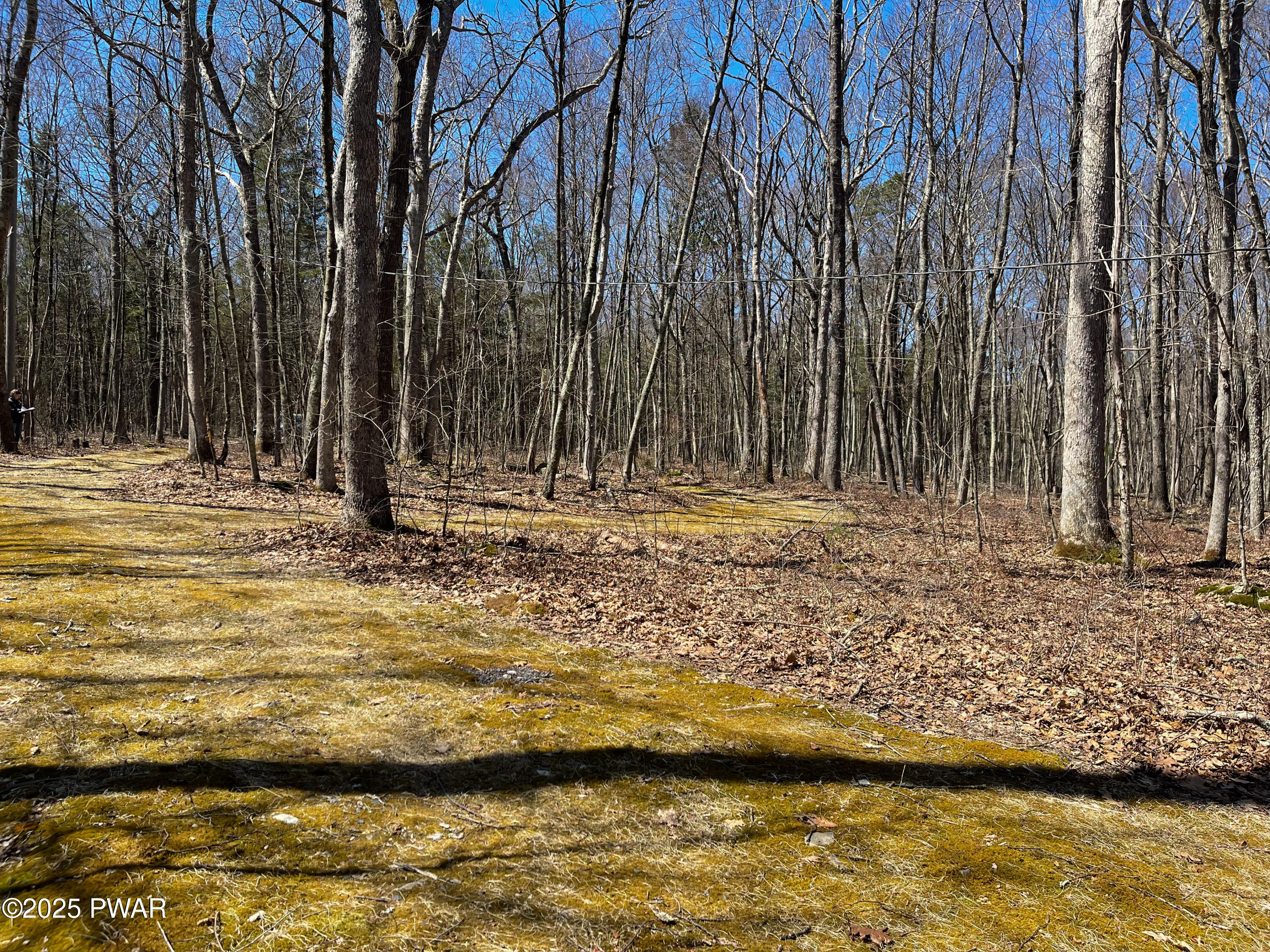 159 Five Mile Meadow Road #19-C 957, Dingmans Ferry, Pennsylvania image 11
