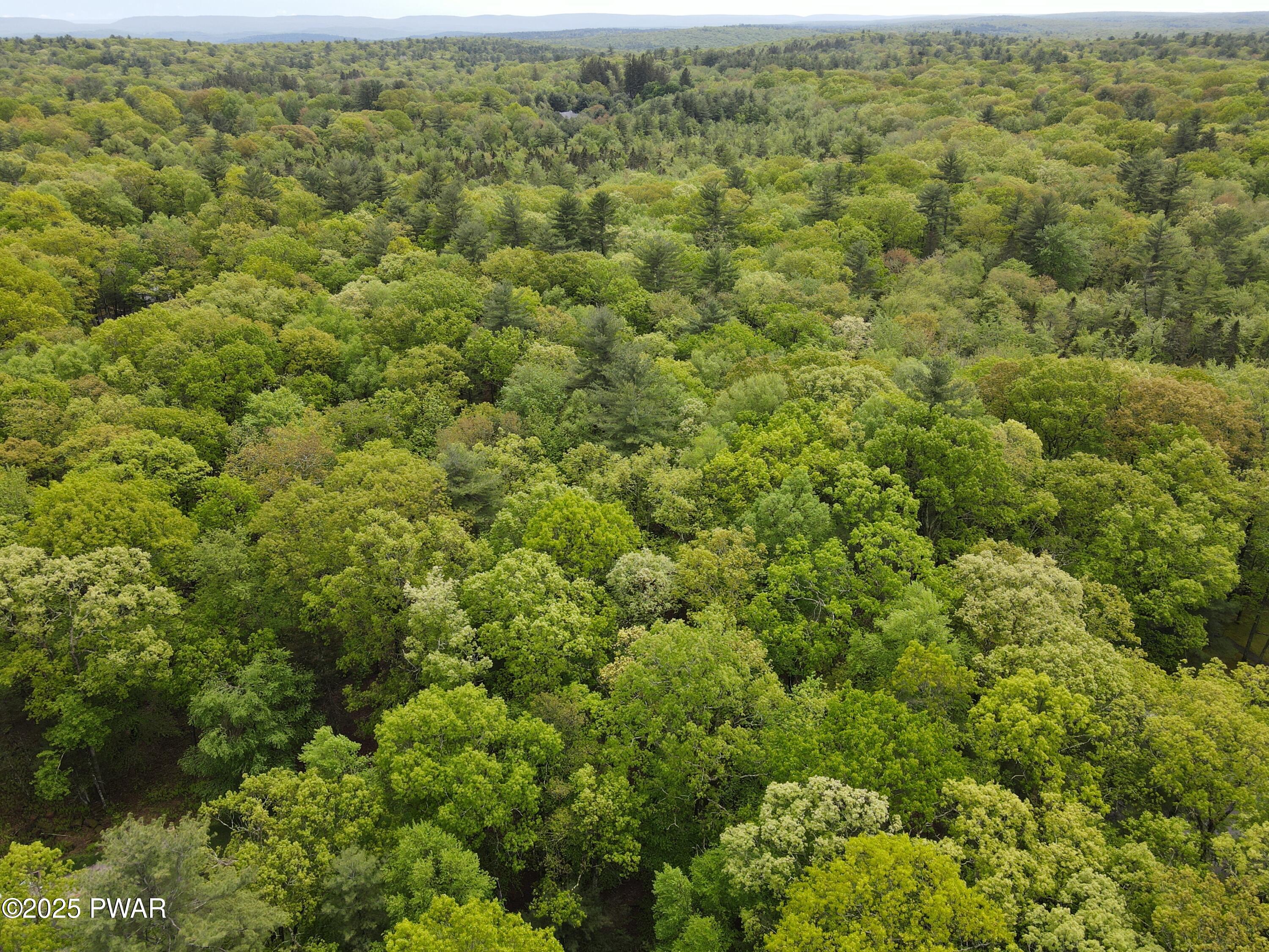 Lot 1725 Tan Oak Drive, Milford, Pennsylvania image 6