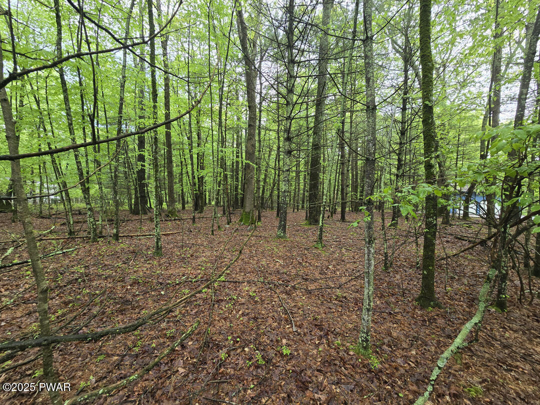 Lot 1725 Tan Oak Drive, Milford, Pennsylvania image 2