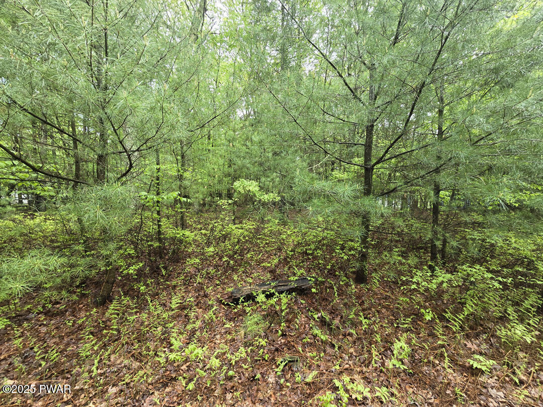 Lot 1725 Tan Oak Drive, Milford, Pennsylvania image 7