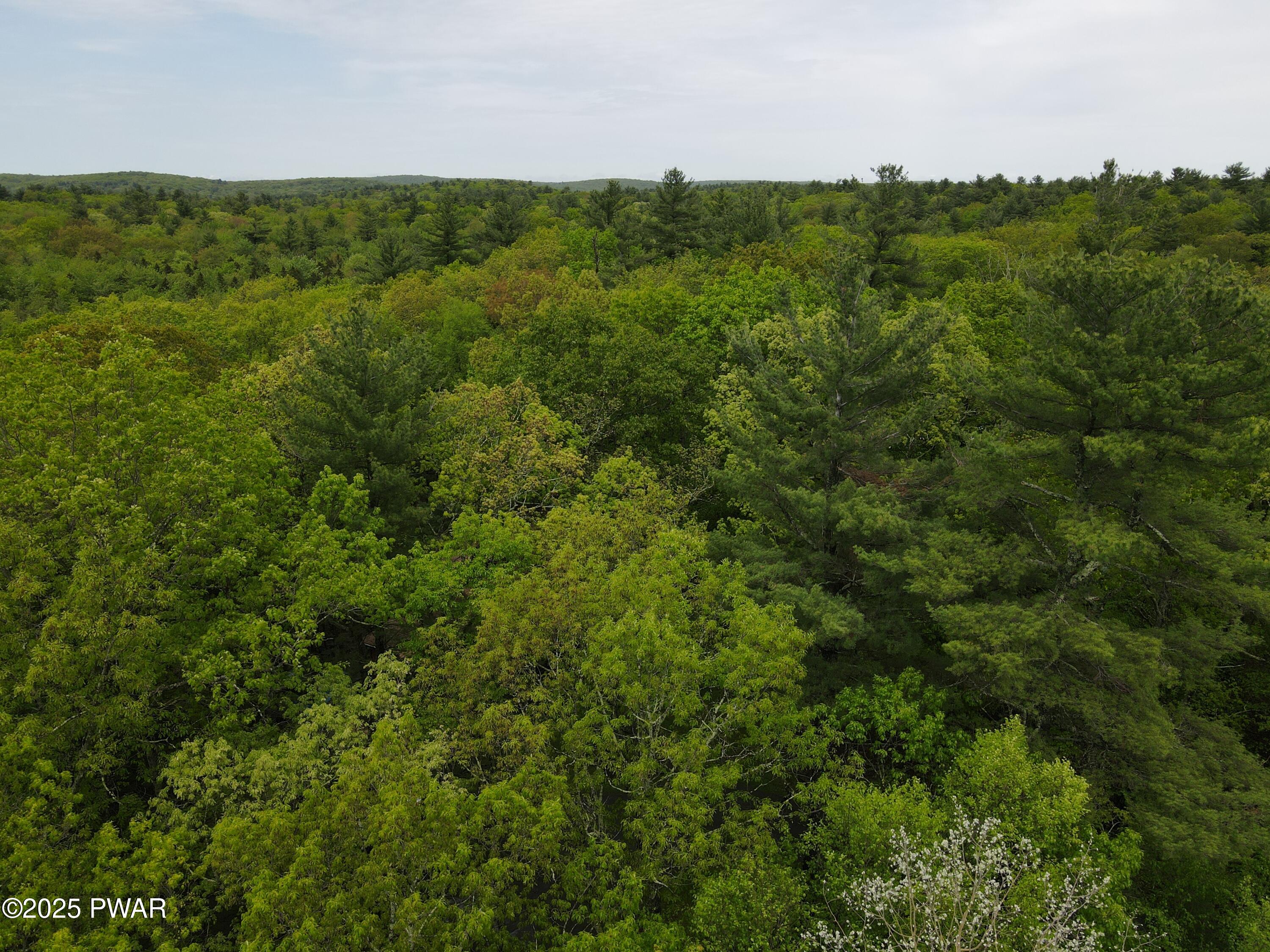 Lot 1725 Tan Oak Drive, Milford, Pennsylvania image 10