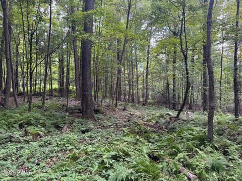 Vacant Land For Sale - Racht Road<br/> Honesdale, PA 18431