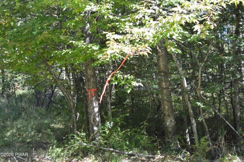 Vacant Land For Sale - LOT 110 Snow Drift Road<br/> Newfoundland, PA 18445