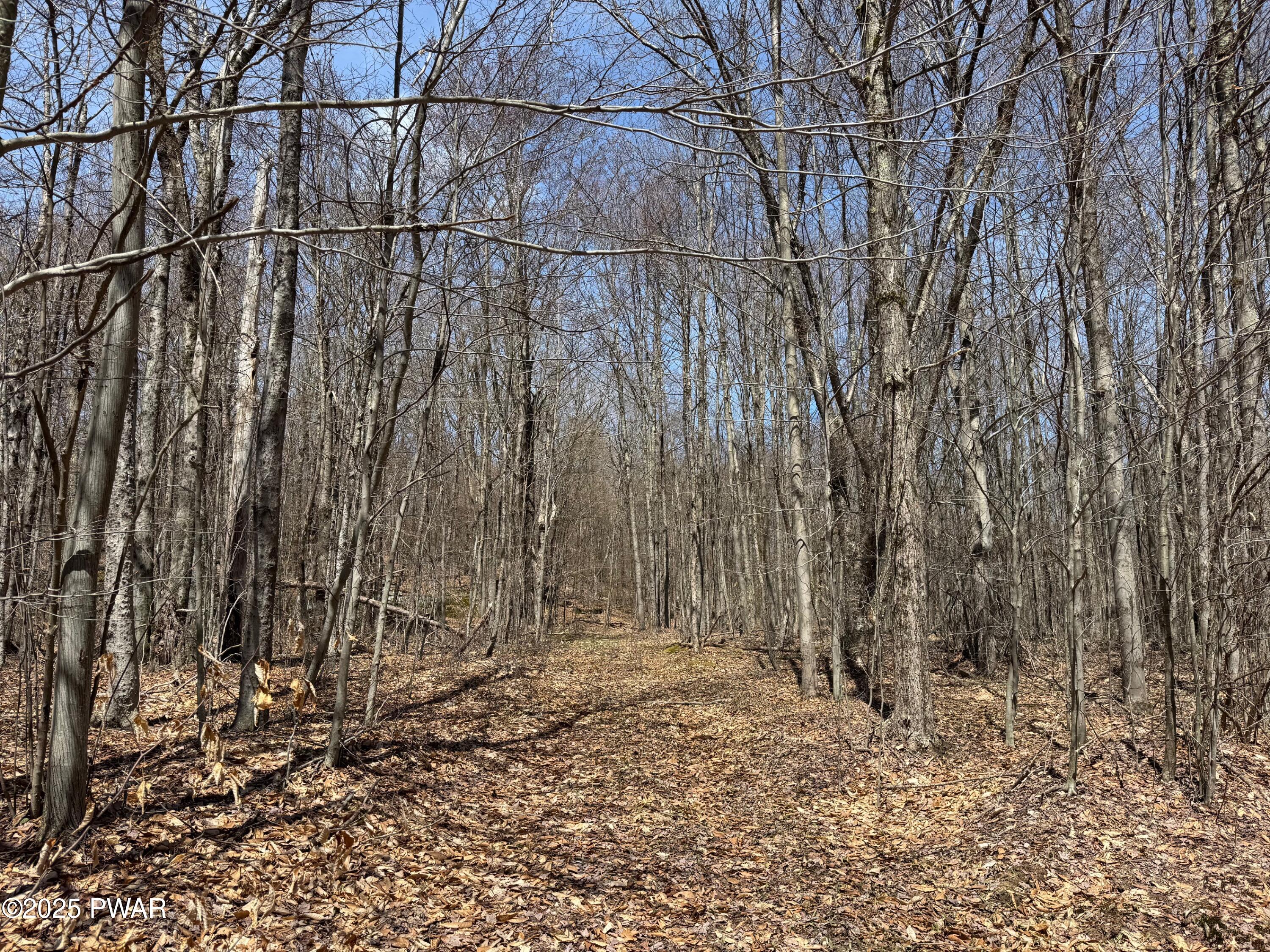 Creamton Drive, Lakewood, Pennsylvania image 6