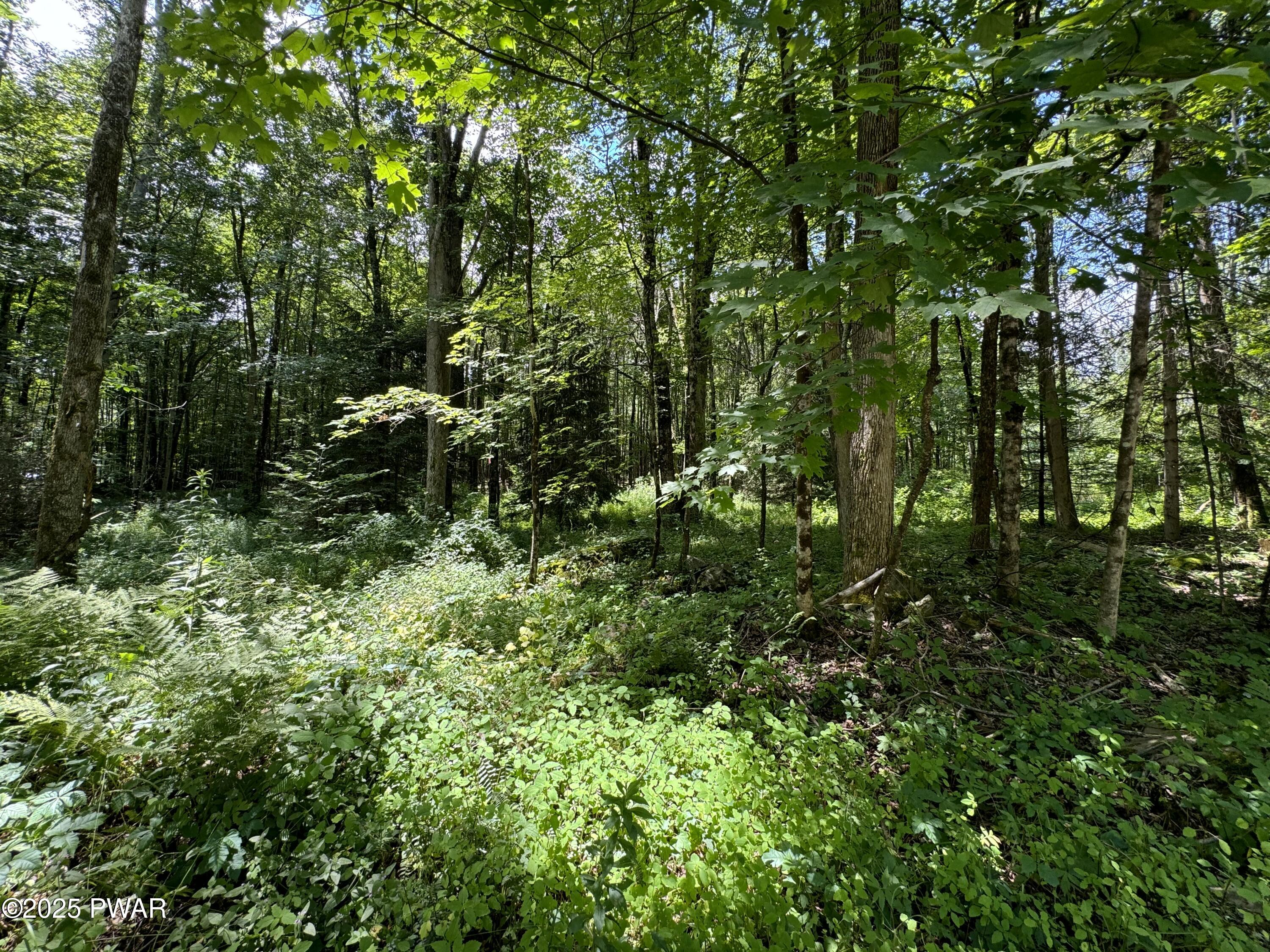 Creamton Drive, Lakewood, Pennsylvania image 2