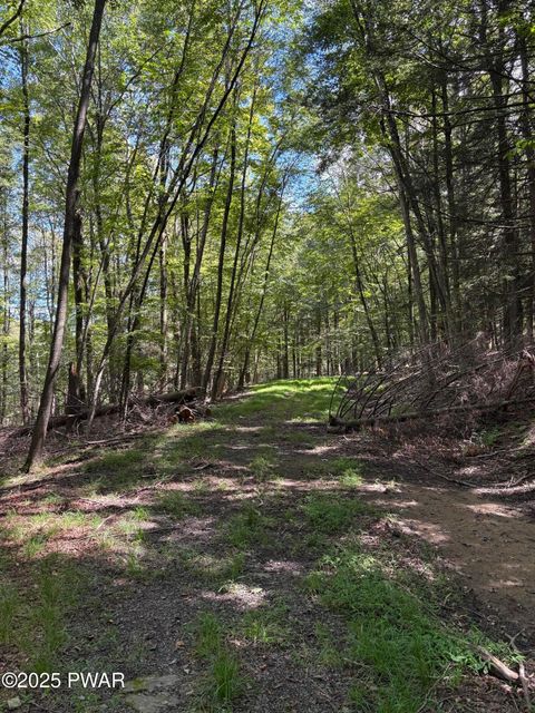 Vacant Land For Sale - Wallenpaupack Drive<br/> Greentown, PA 18426