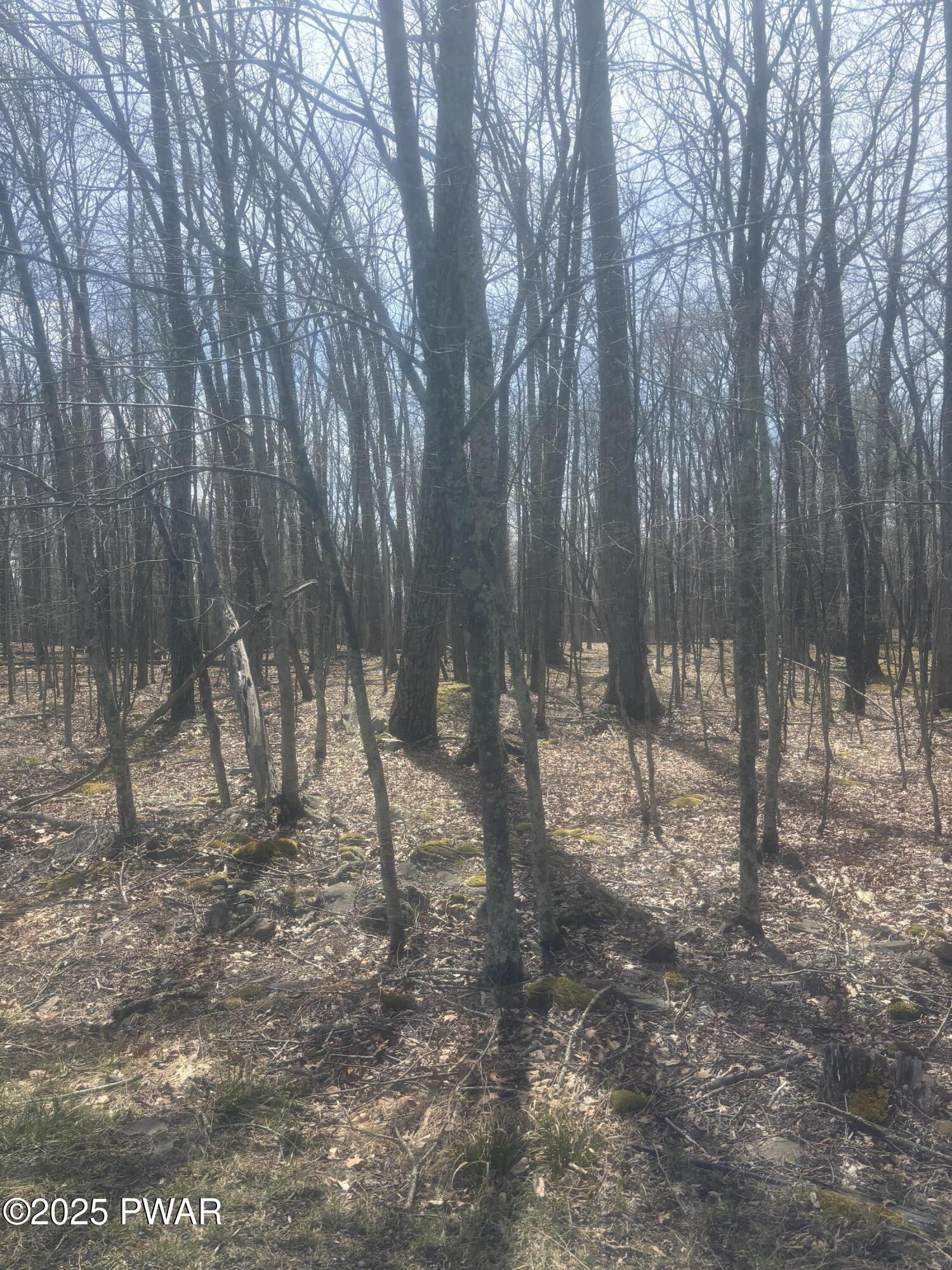 Lakeview Drive, Hawley, Pennsylvania image 2