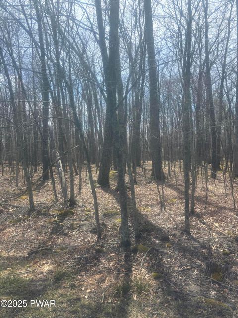 Vacant Land For Sale - Upper Lakeview Drive<br/> Hawley, PA 18438