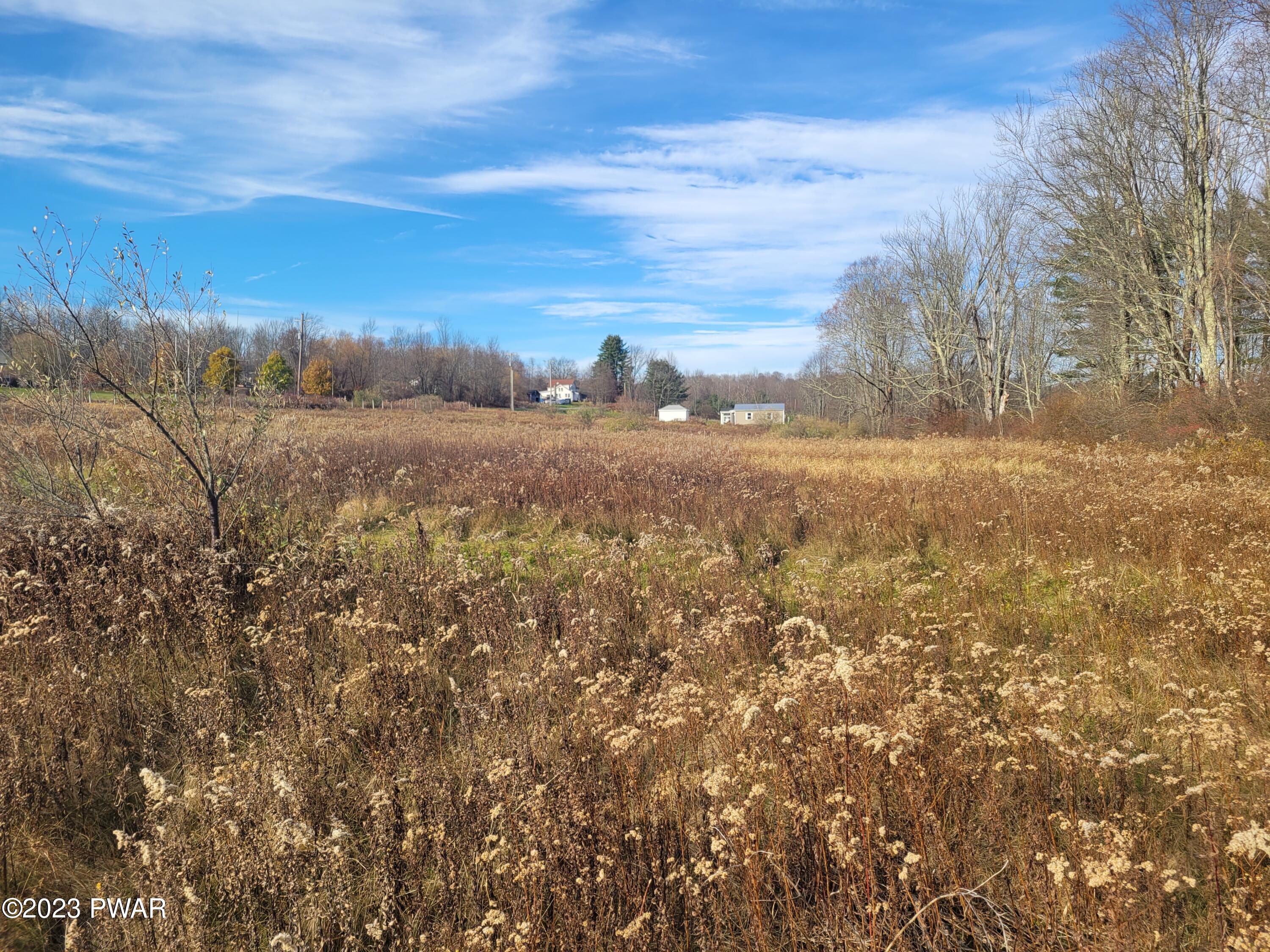 Lazy J Road, Beach Lake, Pennsylvania image 25