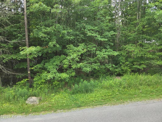 3642 HIDDEN LAKE DR, LAKE ARIEL, PA 18436 - Image ed1dab6a94f75deb91652425f571a082/2568168815