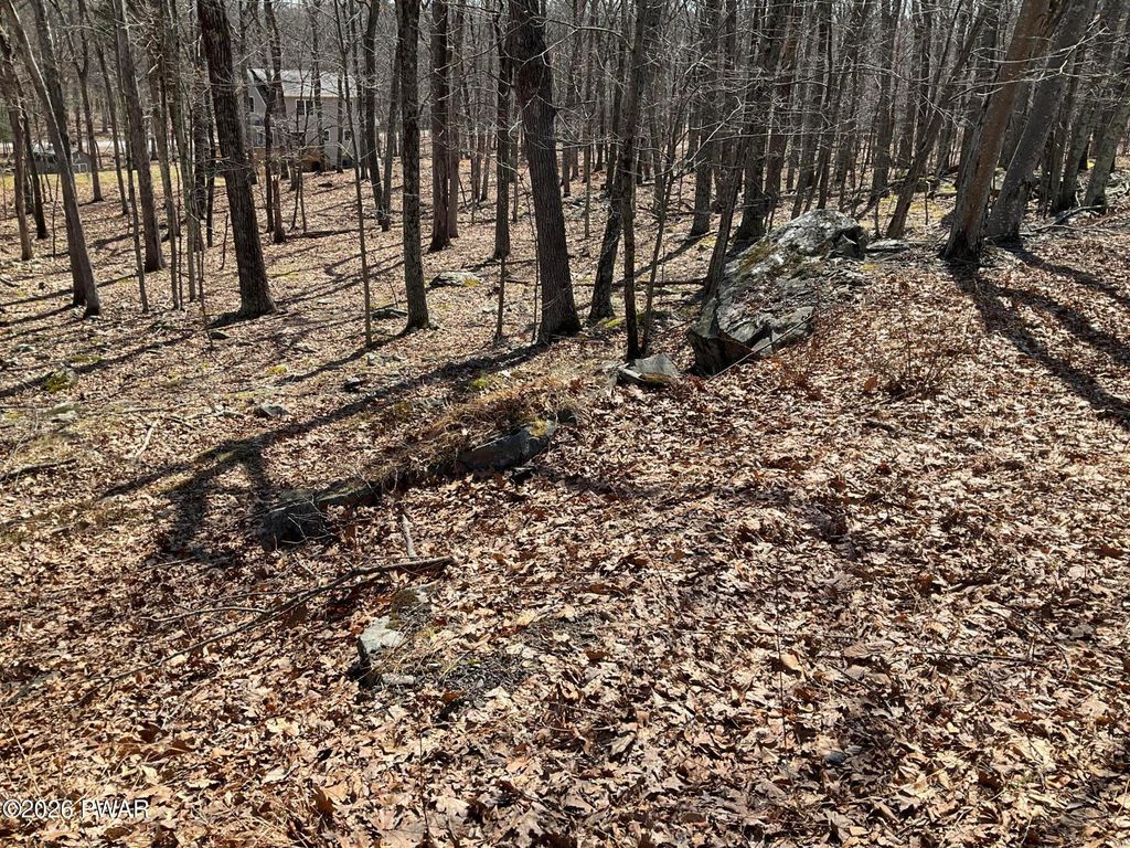 Photo of 290 Mountain Top Drive, Dingmans Ferry, PA 18328 (MLS # PW260753)