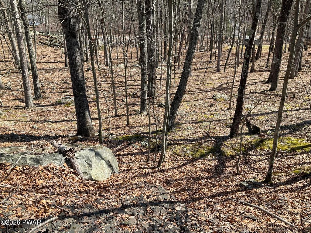 Photo of 290 Mountain Top Drive, Dingmans Ferry, PA 18328 (MLS # PW260753)