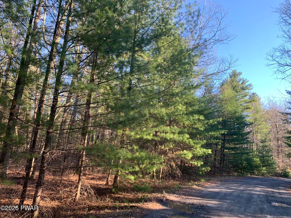 Photo of Center Road, Dingmans Ferry, PA 18328 (MLS # PW260860)