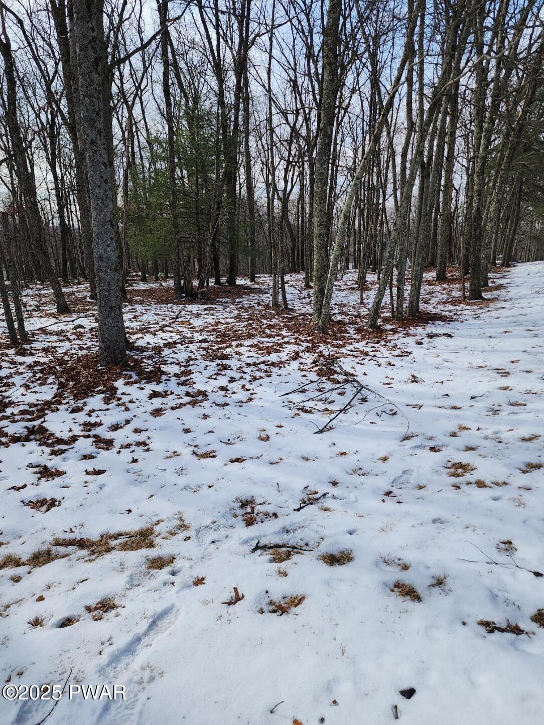 Lot 897 Pico Lane, Tafton, Pennsylvania image 2
