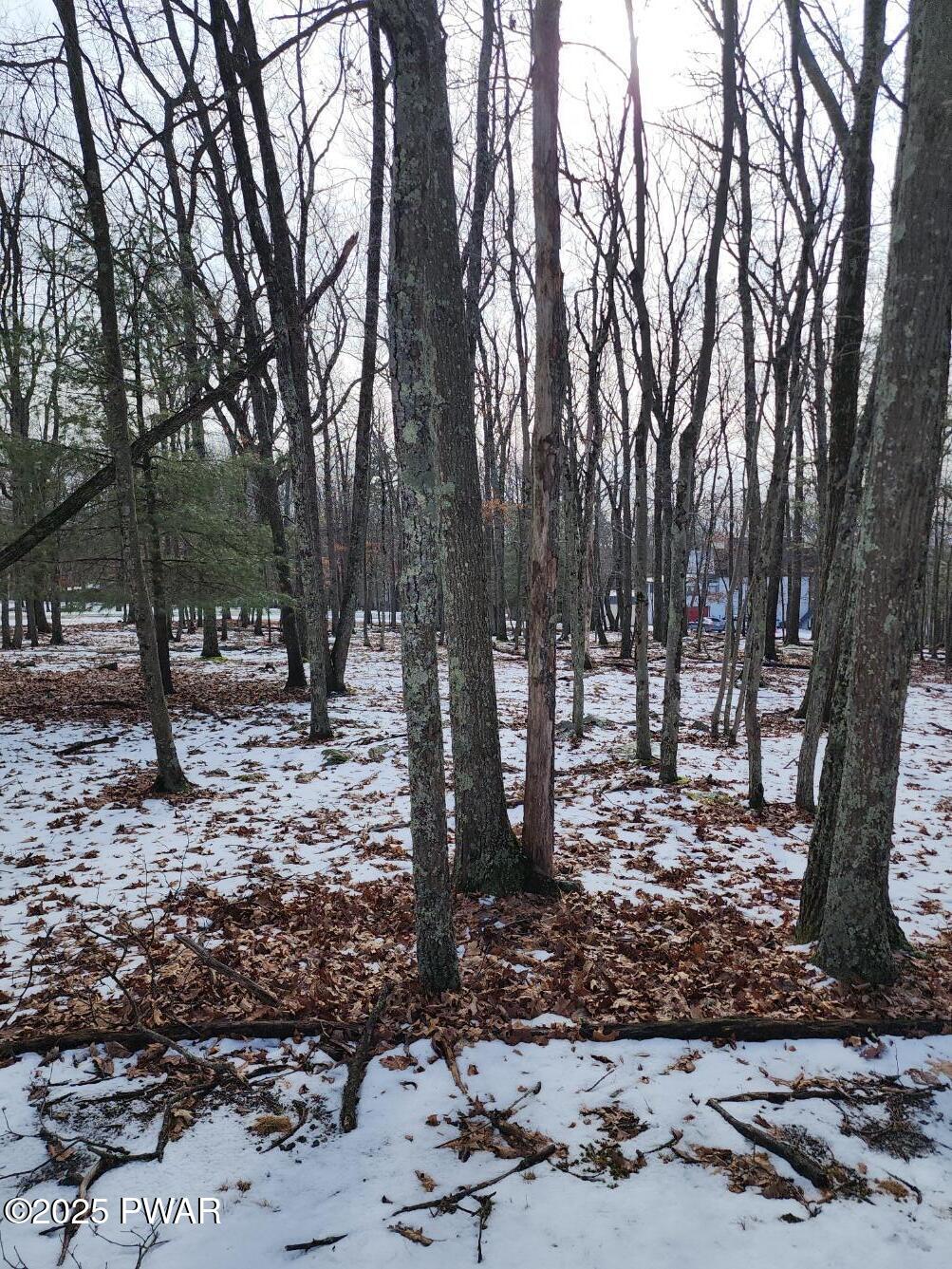 Lot 897 Pico Lane, Tafton, Pennsylvania image 1