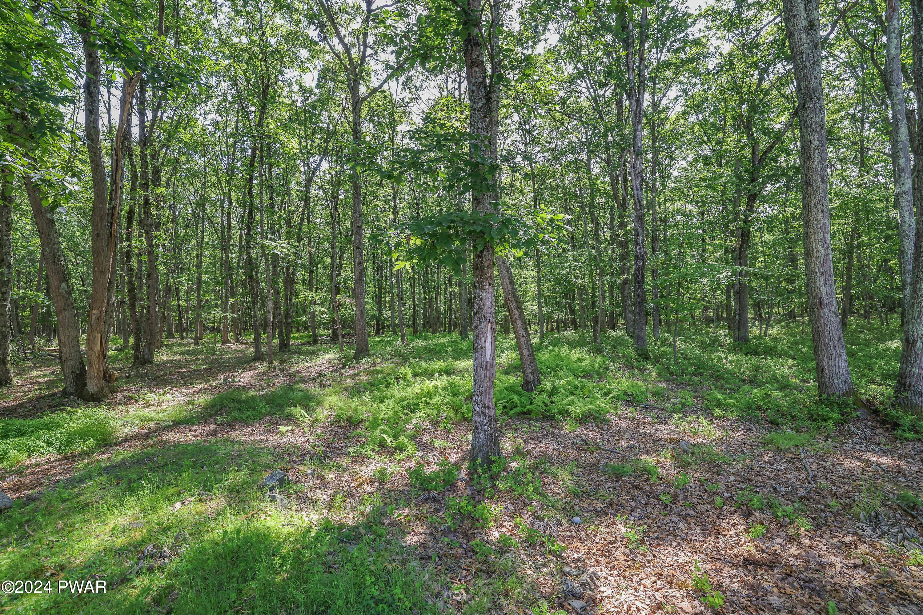 Hawley, Pennsylvania 18428, United States, 5 Bedrooms Bedrooms, ,4 BathroomsBathrooms,Residential,Pending,53322