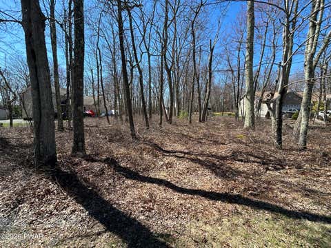 Vacant Land For Sale - 145 Maple Ridge Drive<br/> Pike County, Hawley, PA 18428