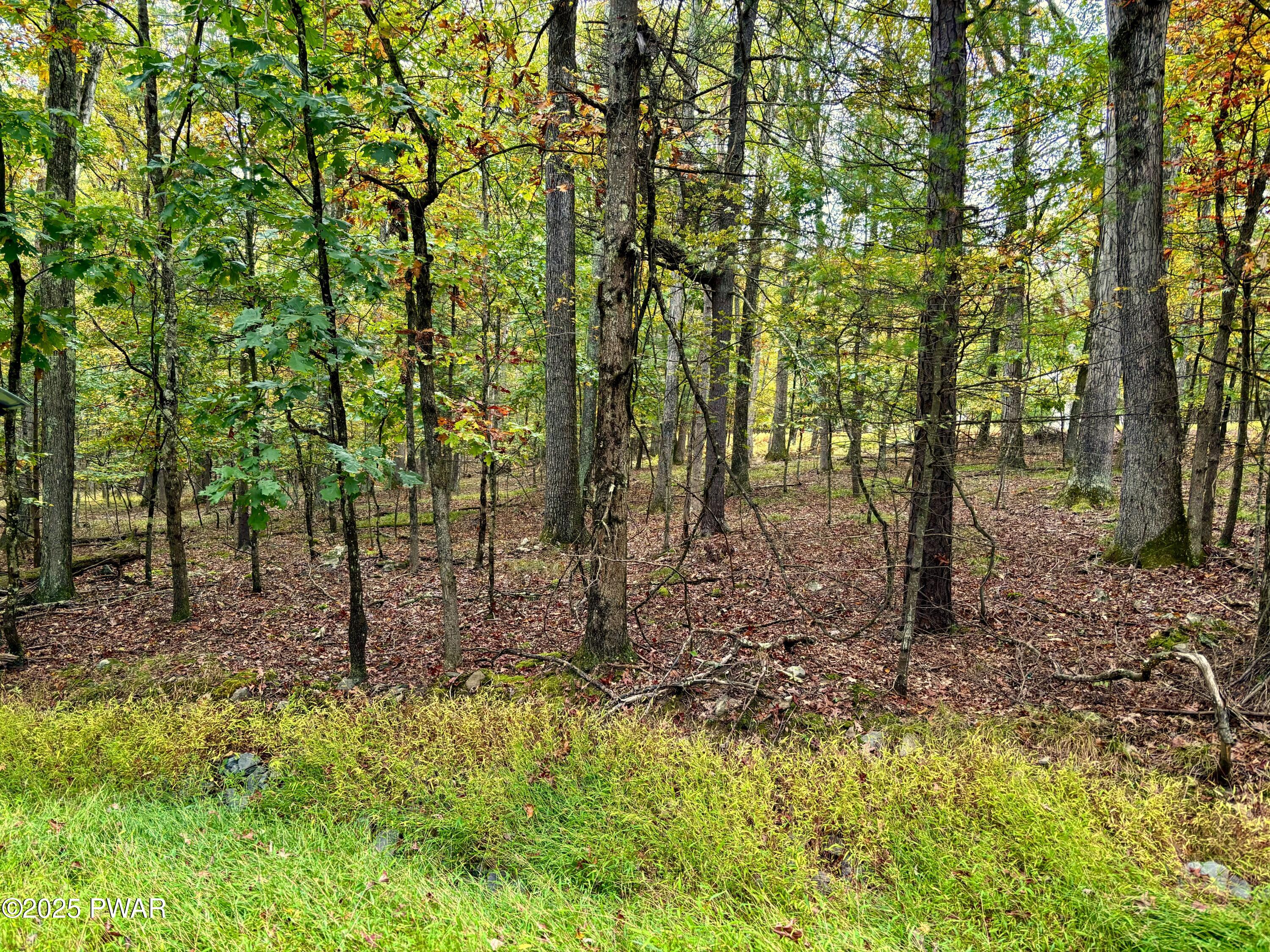 Hawley, Pennsylvania 18428, United States, ,Land,Active,133834