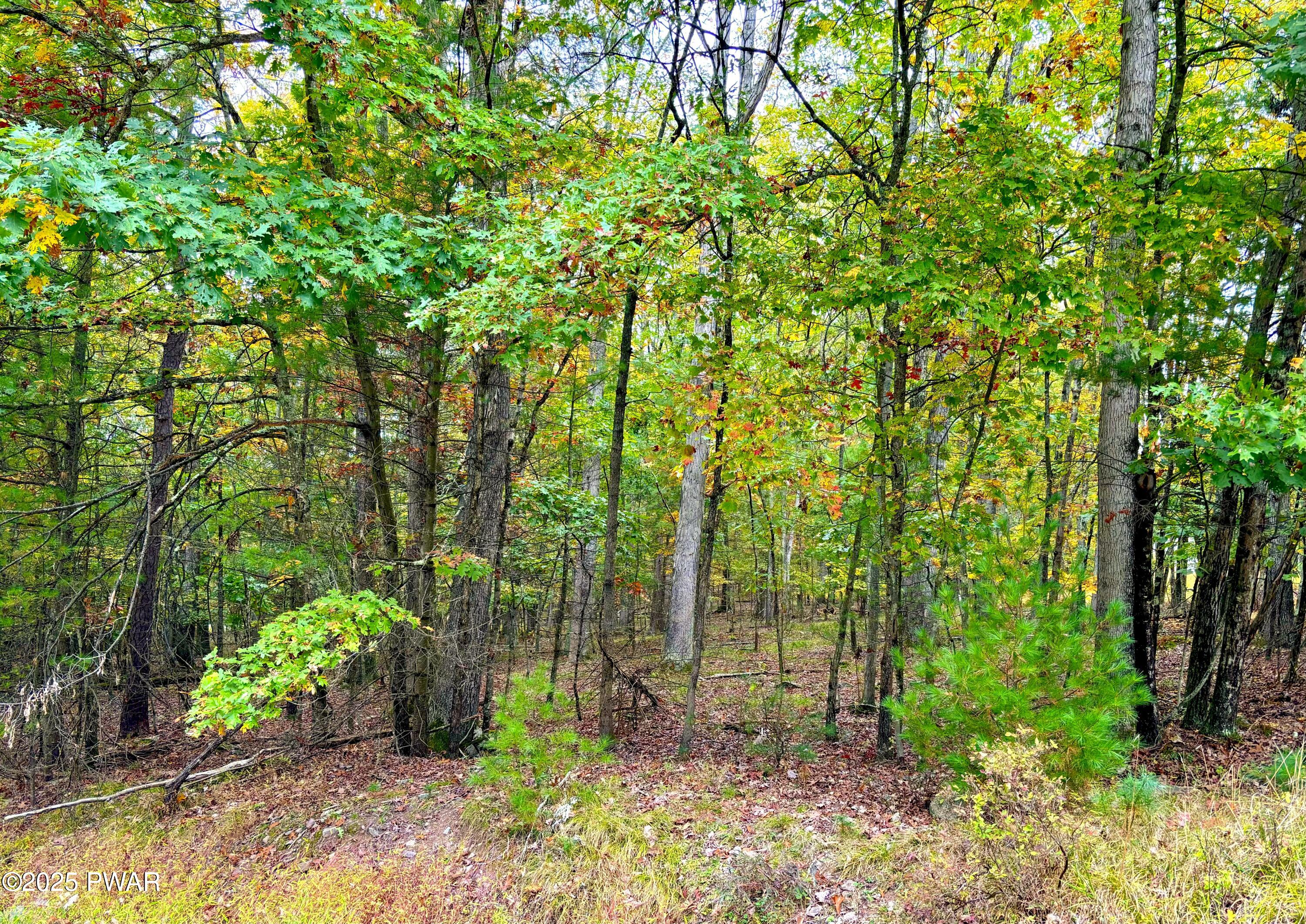 Hawley, Pennsylvania 18428, United States, ,Land,Active,133834