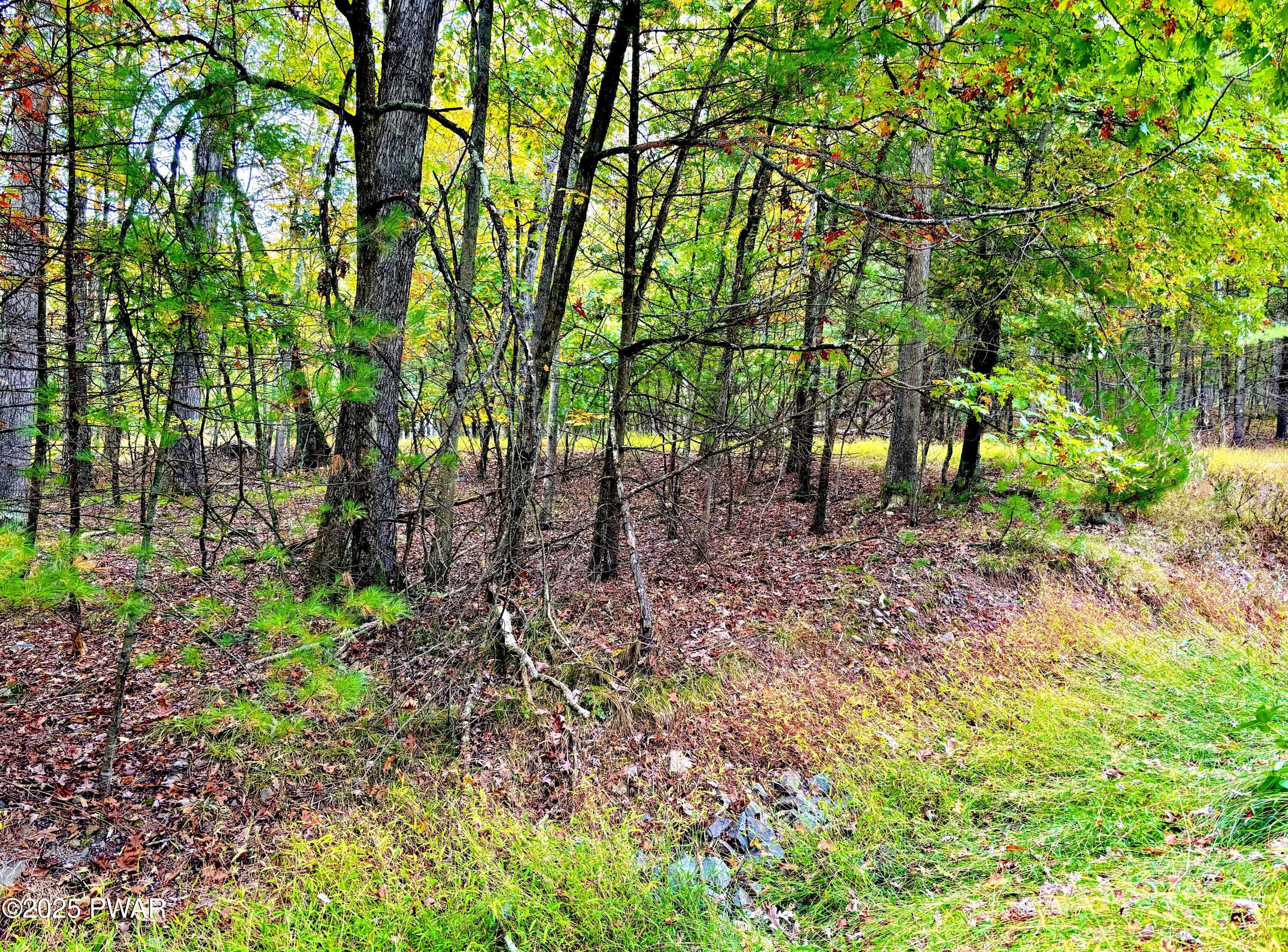 Hawley, Pennsylvania 18428, United States, ,Land,Active,133834