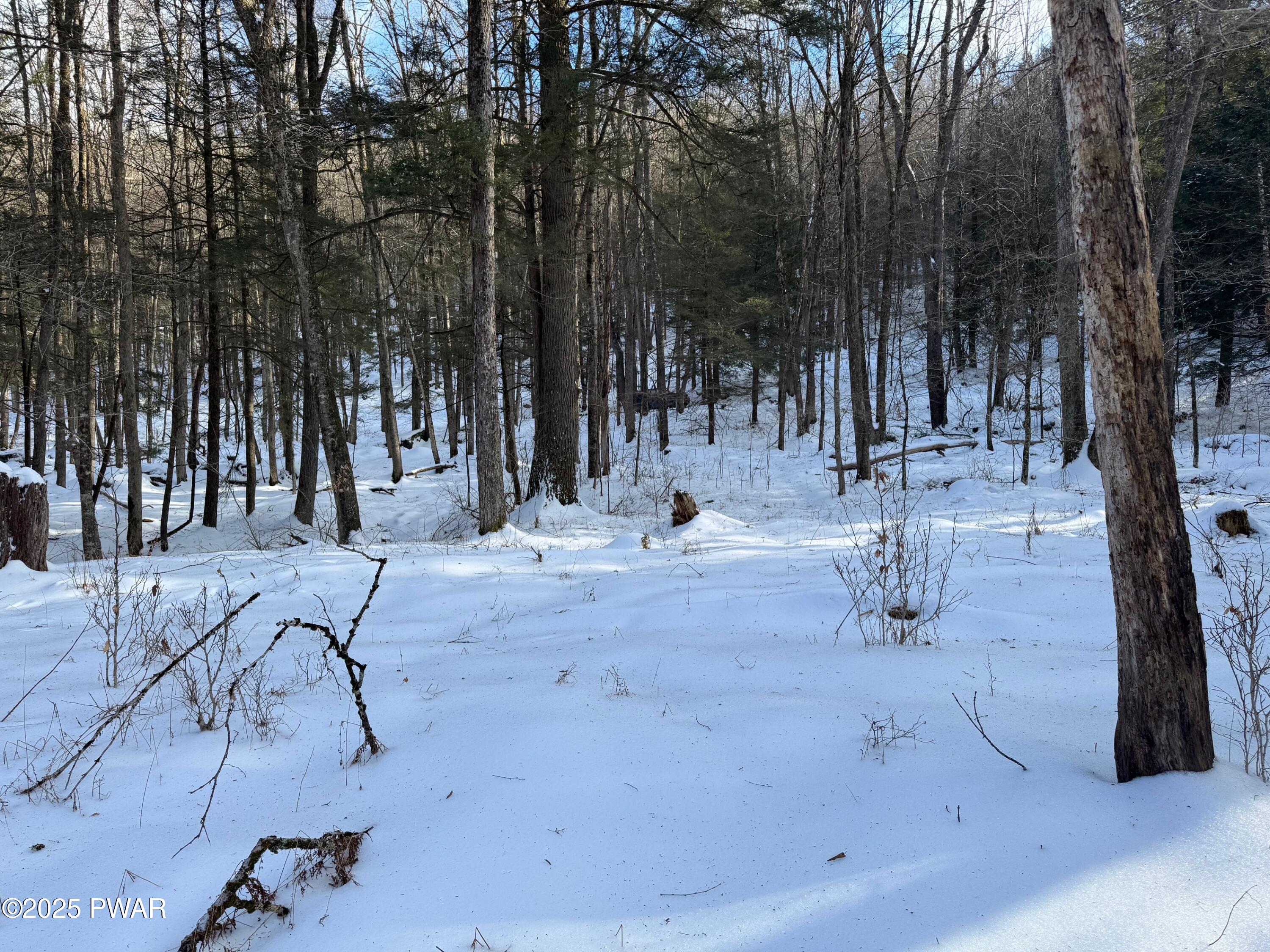 John Davis Road, Milanville, Pennsylvania image 6