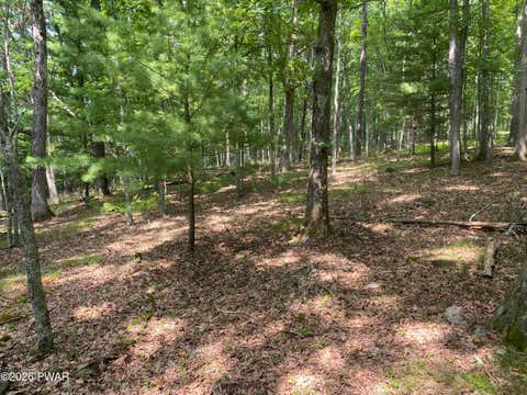 Vacant Land For Sale - 22 Ponderosa Dr<br/> Hawley, PA 18428
