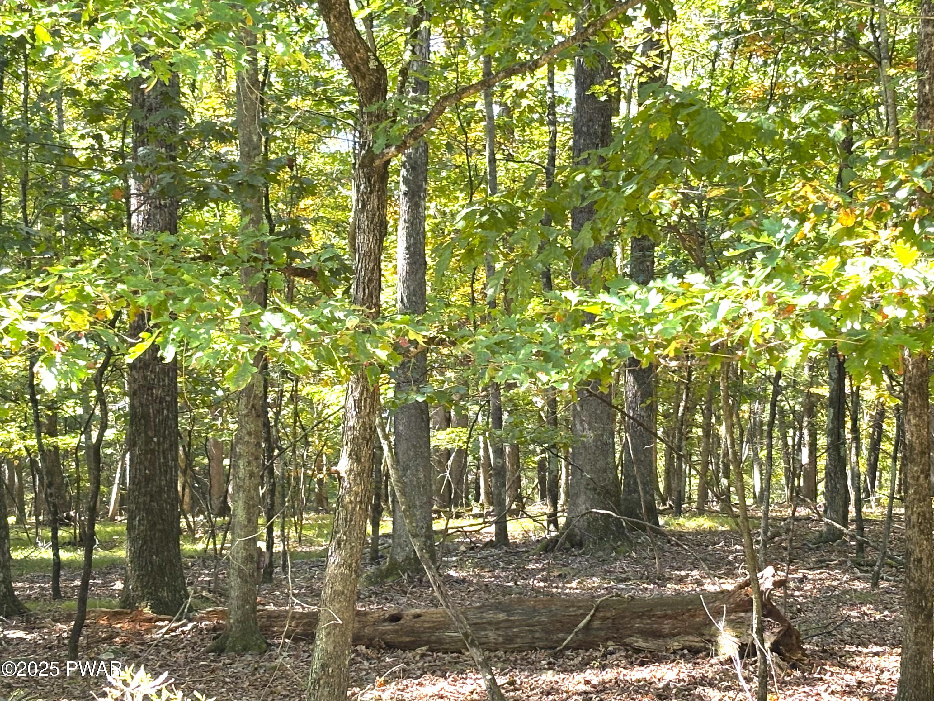 Hawley, Pennsylvania 18428, United States, ,Land,Active,210063