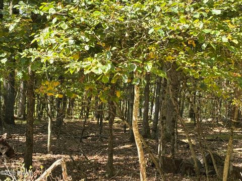 Vacant Land For Sale - 353 Westwood Lane<br/> Hawley, PA 18428