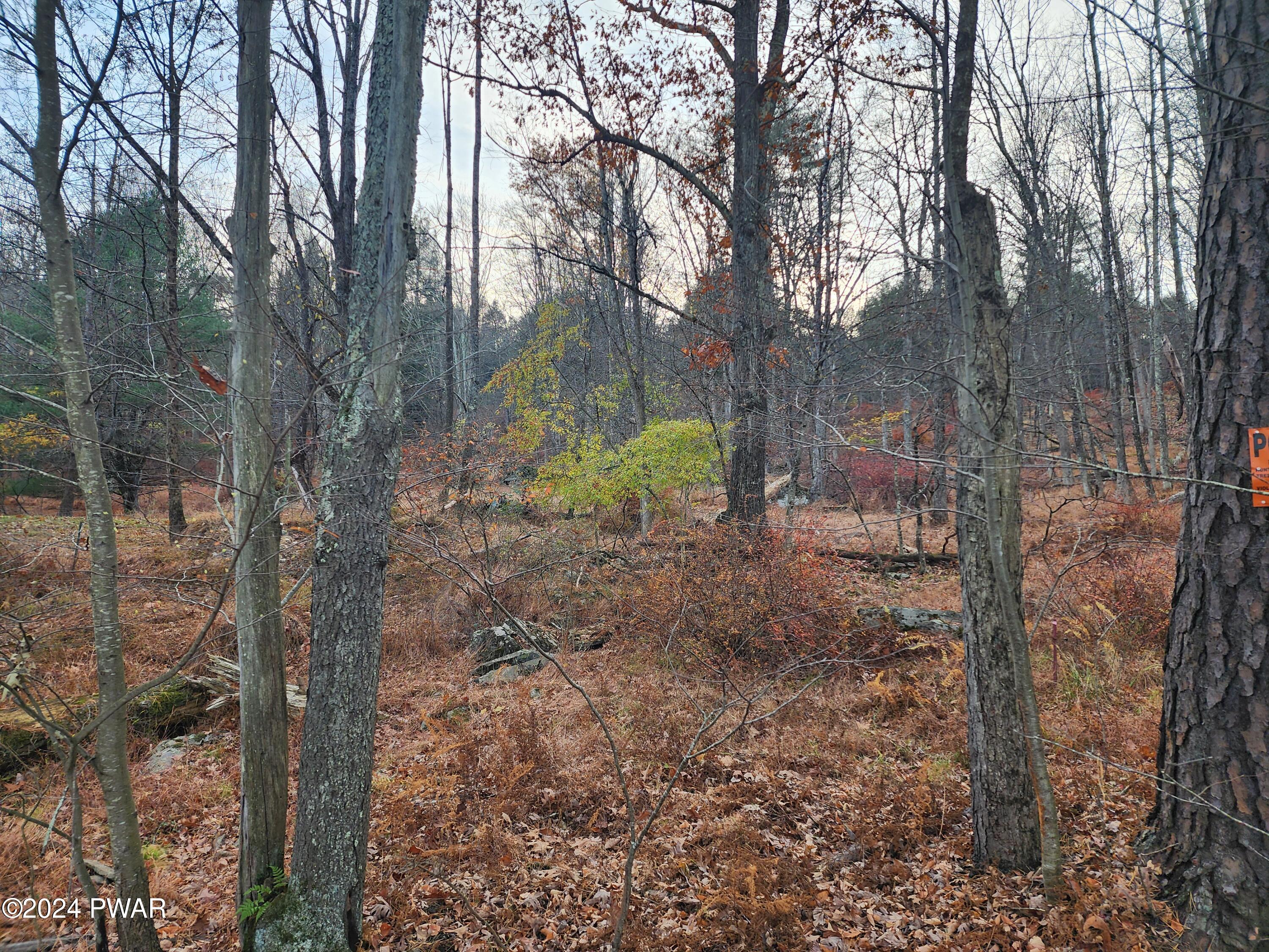 River Road, Beach Lake, Pennsylvania image 8