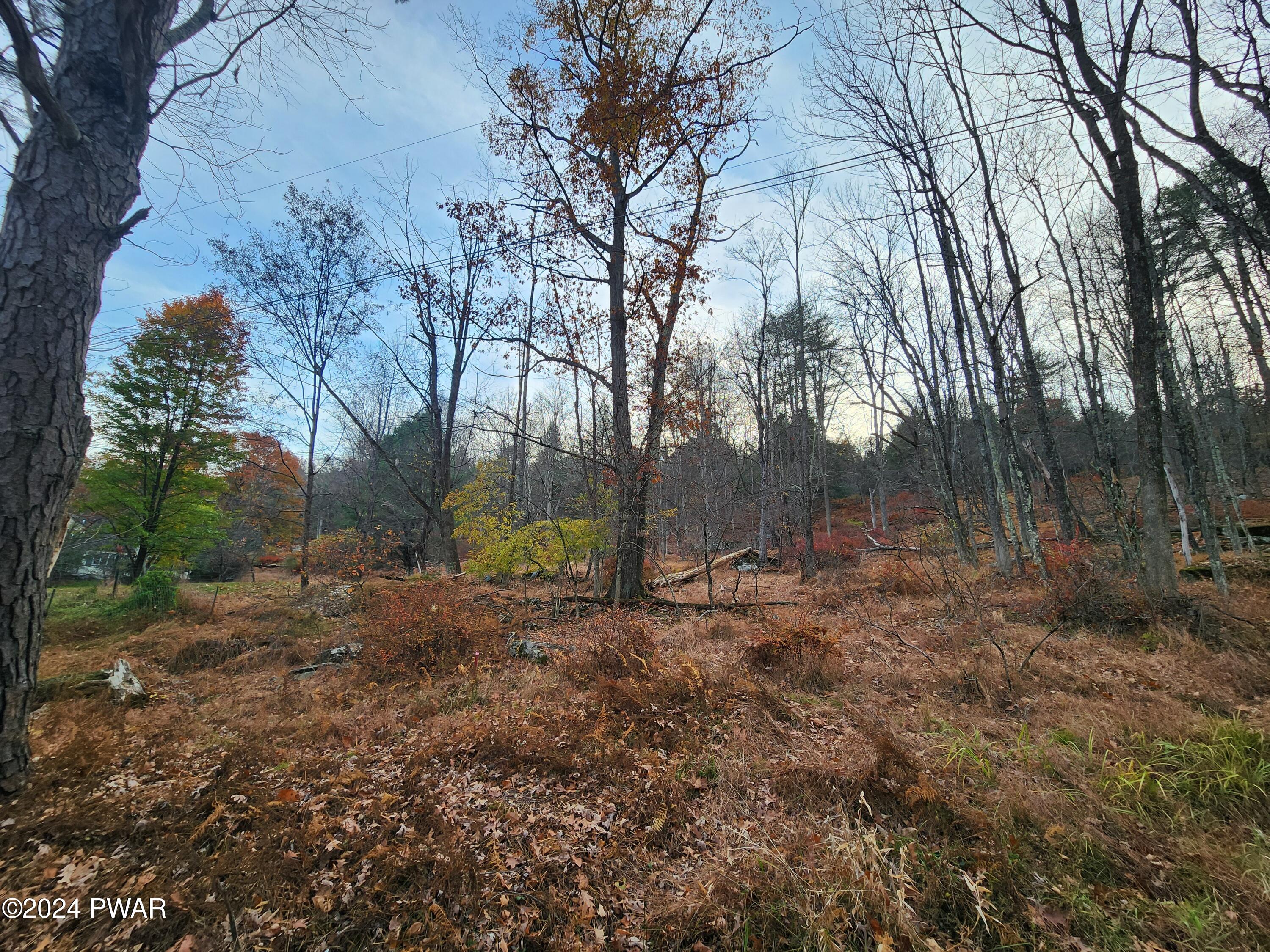 River Road, Beach Lake, Pennsylvania image 9