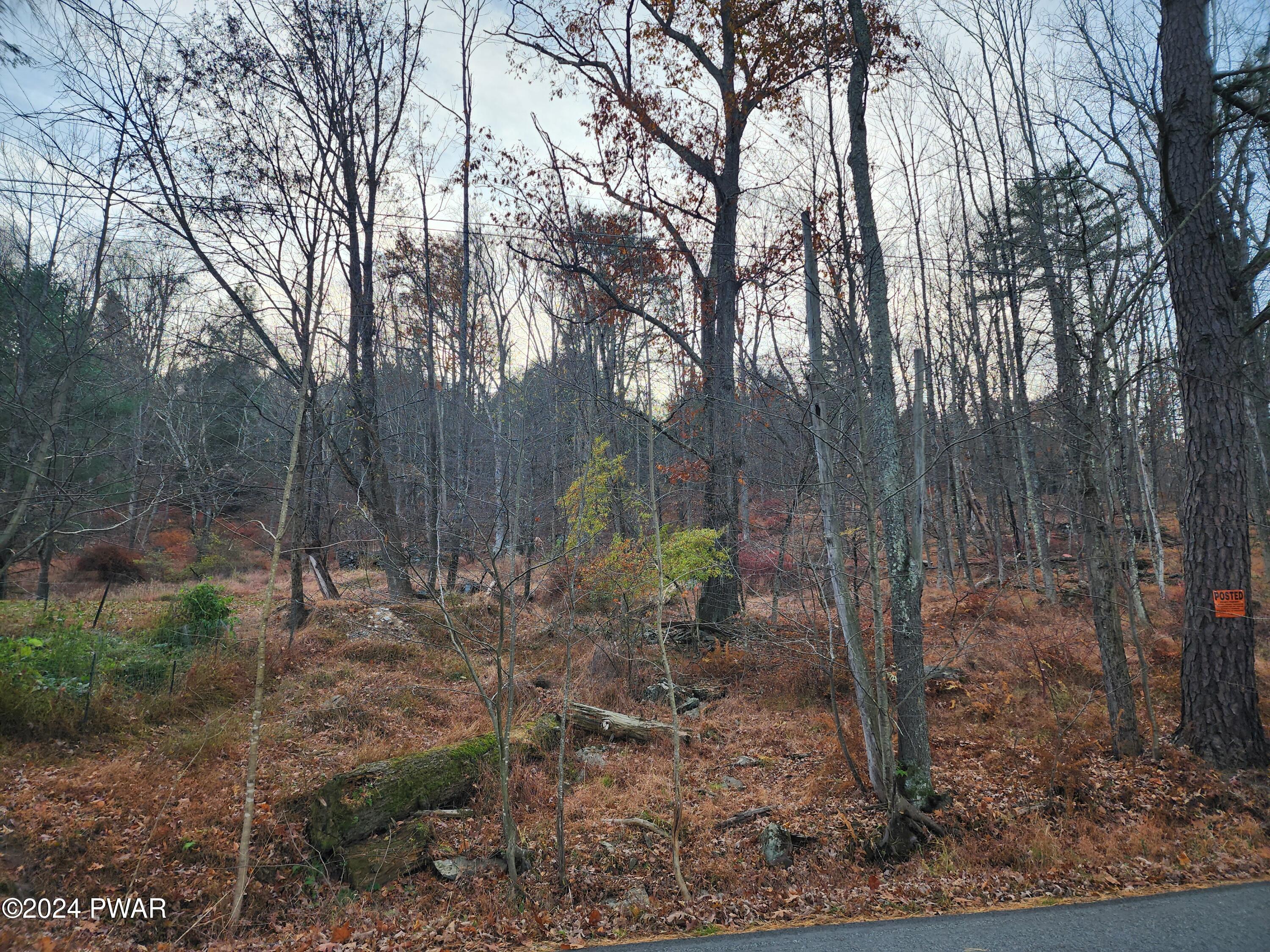 River Road, Beach Lake, Pennsylvania image 7