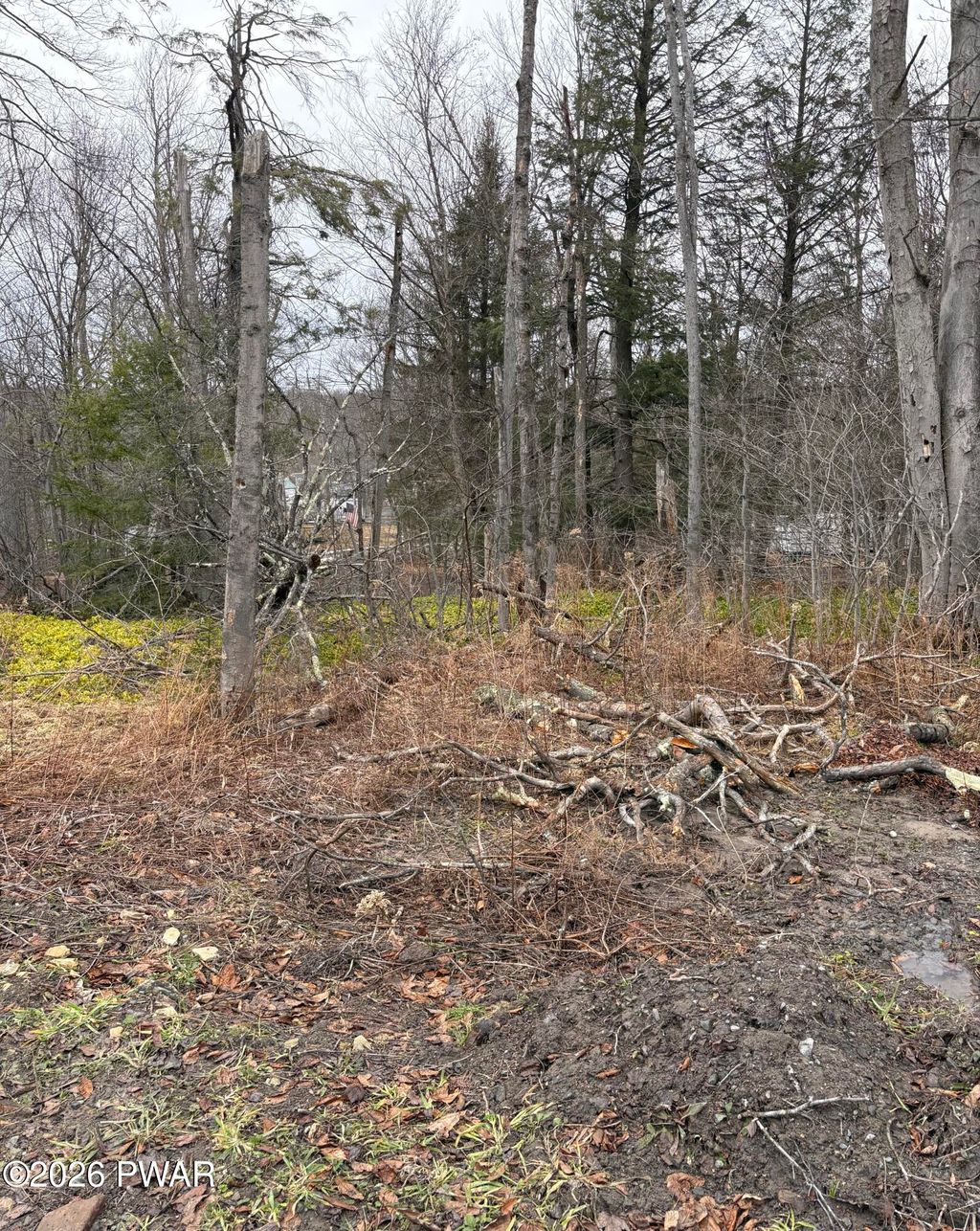 Photo of 43 Ahwahnee Trail, Newfoundland, PA 18445 (MLS # PW260605)