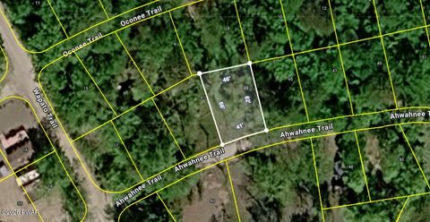 Vacant Land For Sale - 43 Ahwahnee Trail<br/> Newfoundland, PA 18445