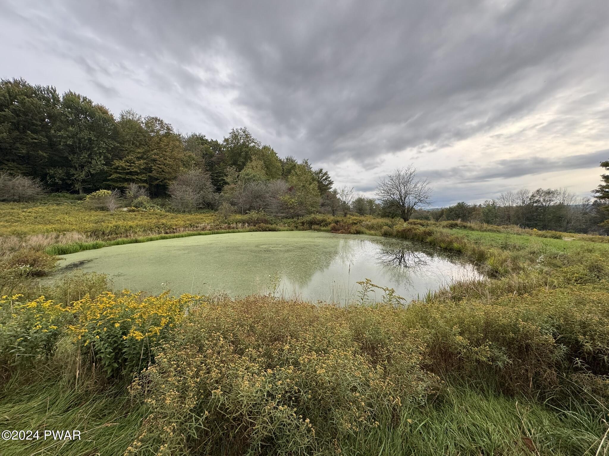 50 Acres Bryn Mawr Road, Honesdale, Pennsylvania image 23