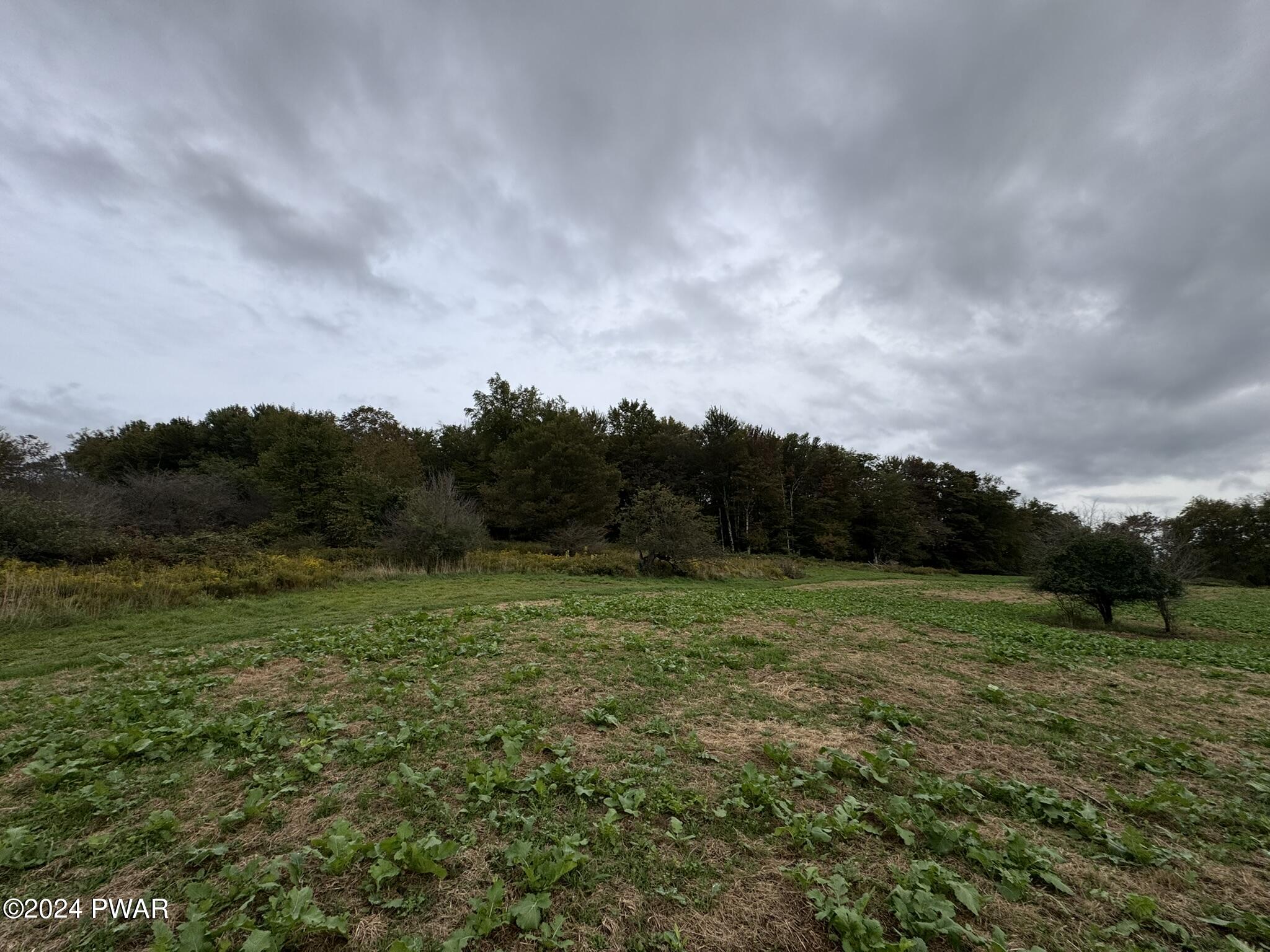 50 Acres Bryn Mawr Road, Honesdale, Pennsylvania image 7